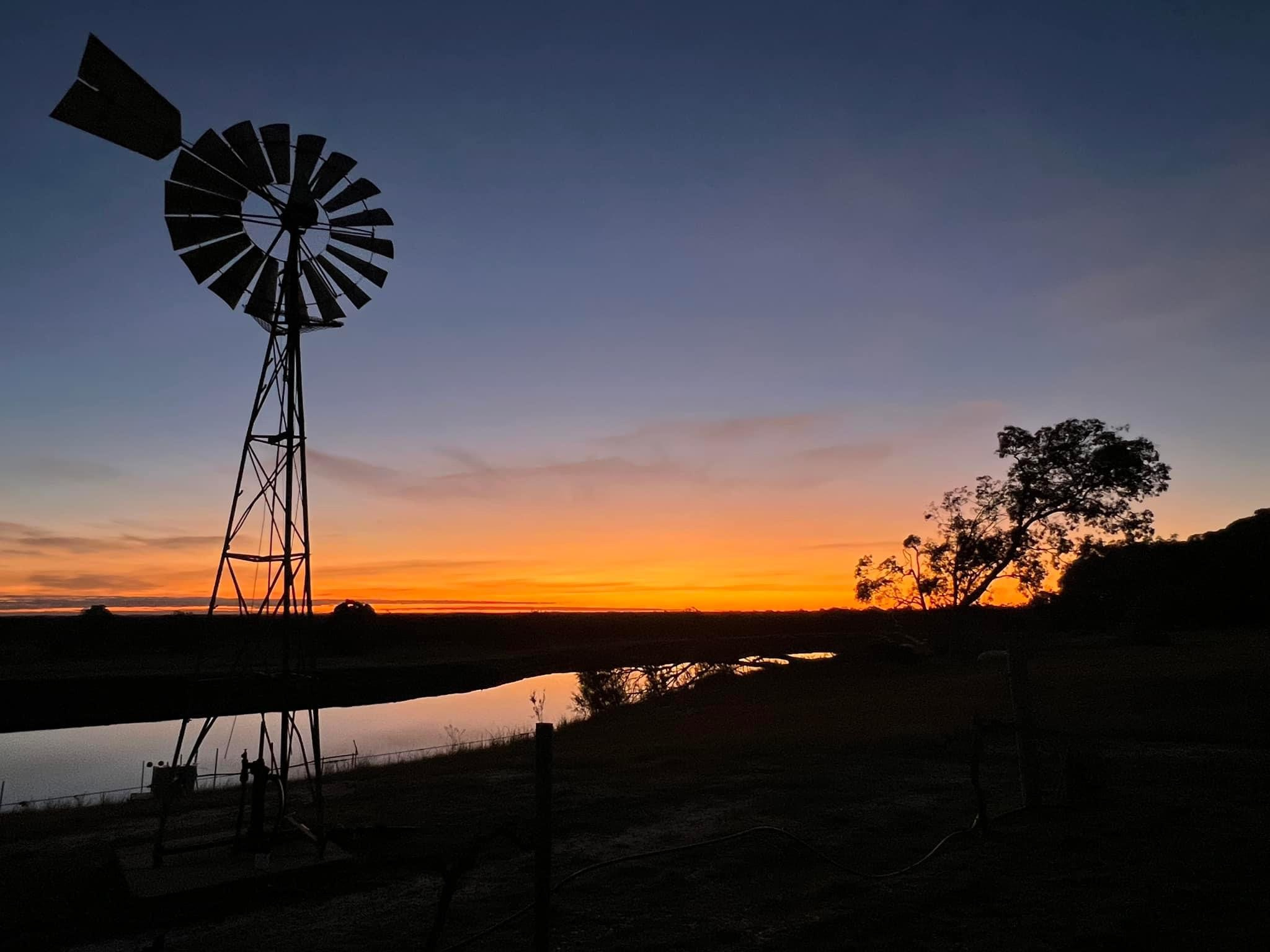 Cooper Day Estate Campground