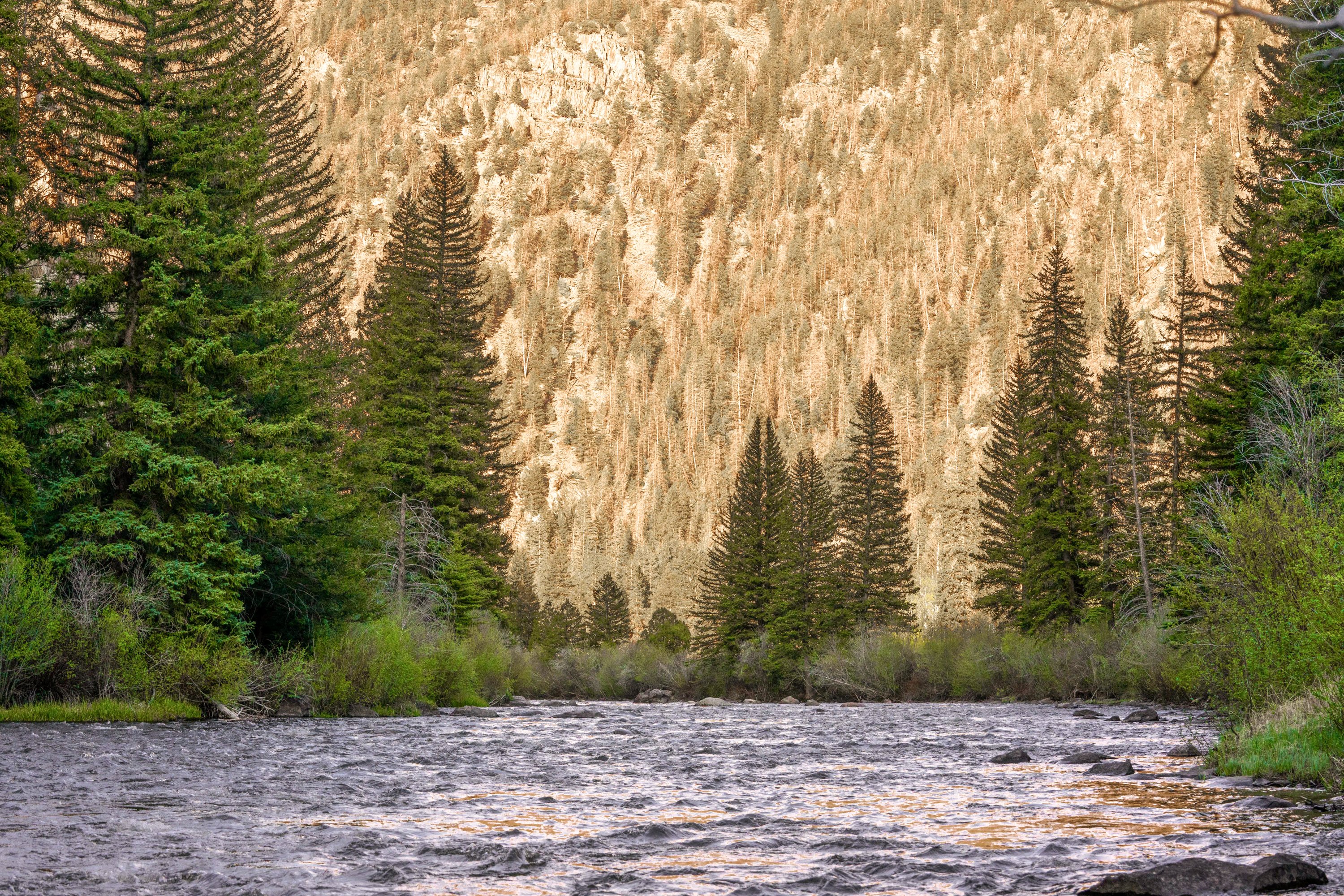 Campfire Ranch on the Taylor