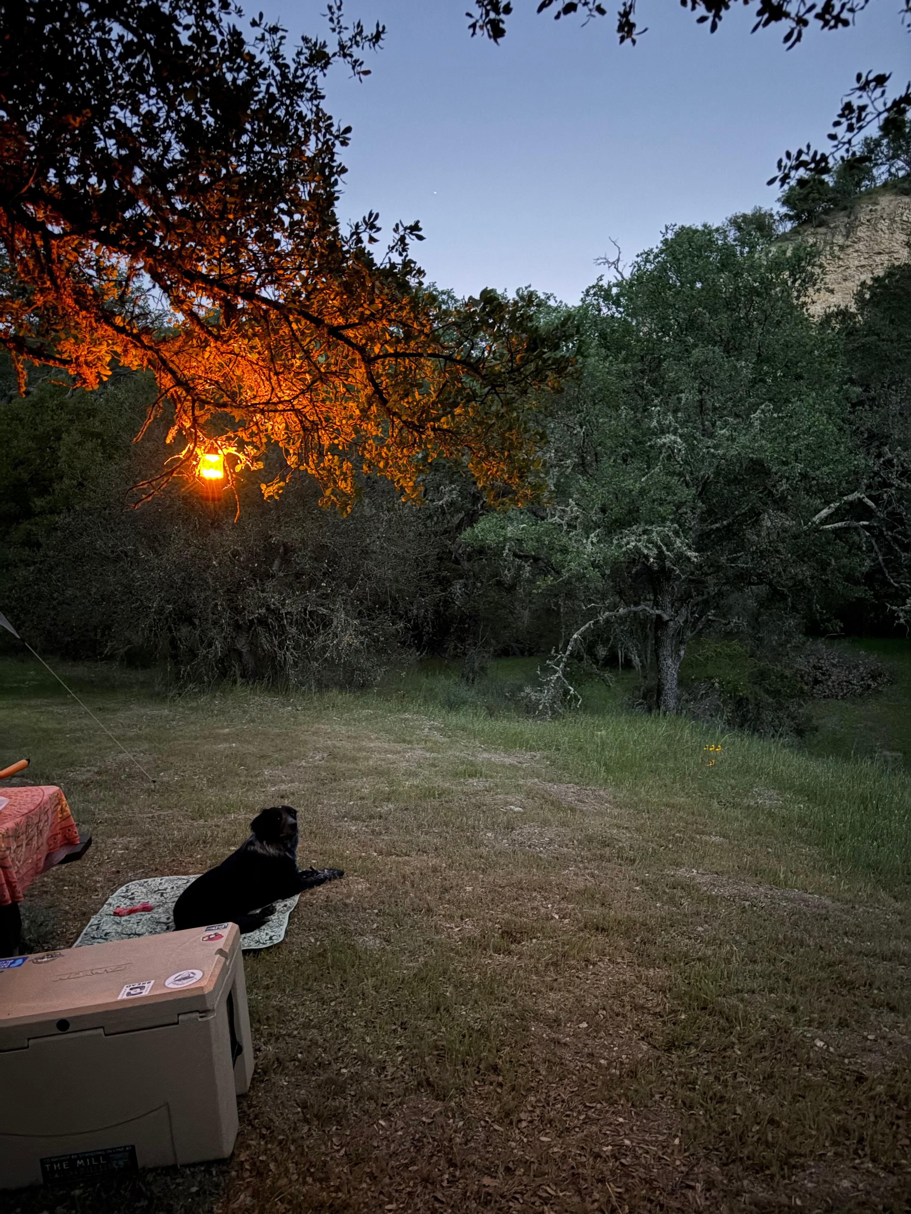 Lavender Creek Camp