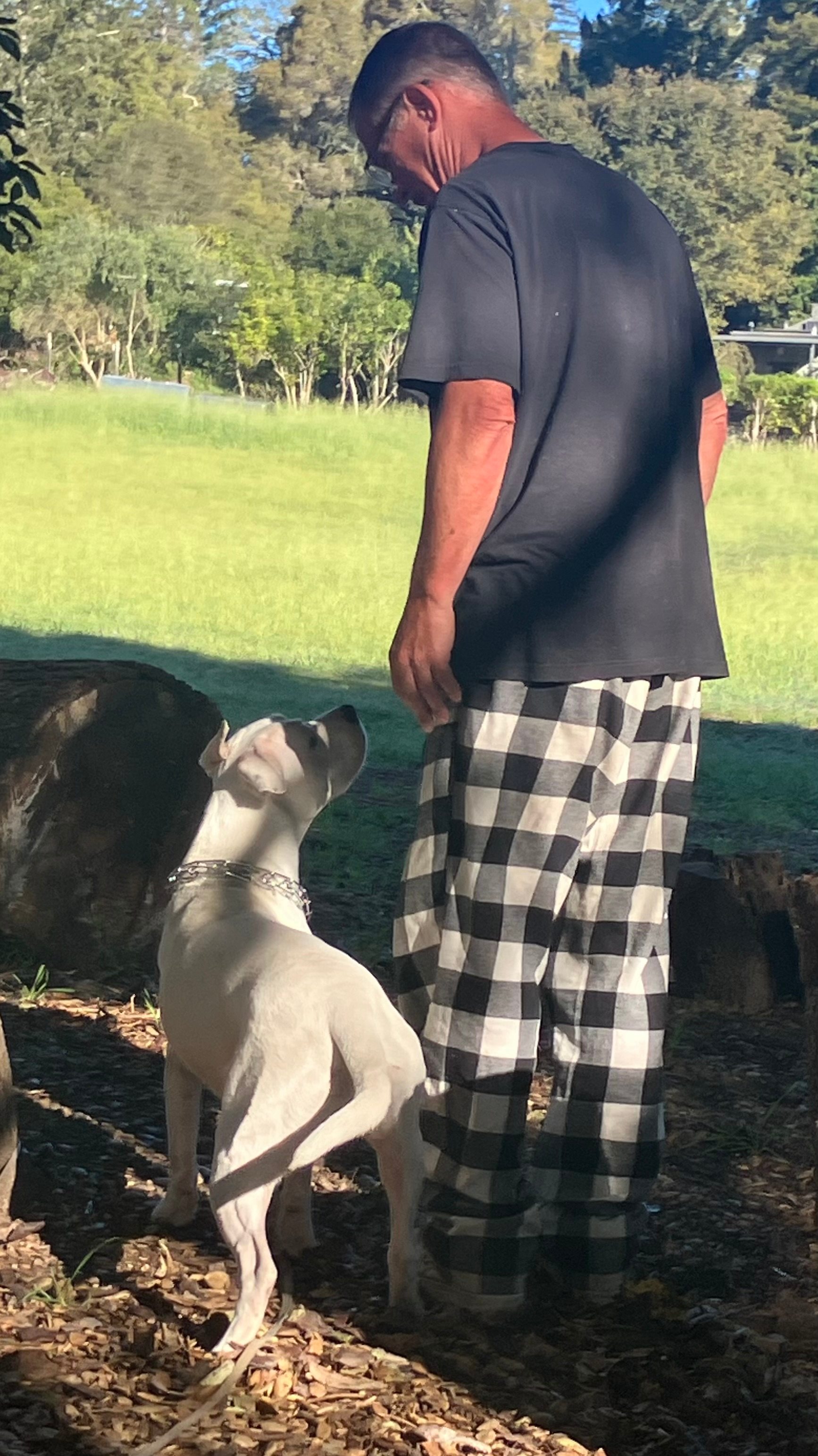 Felton Open Space Camp Sites