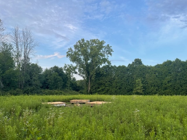 Camp near Saratoga Lake