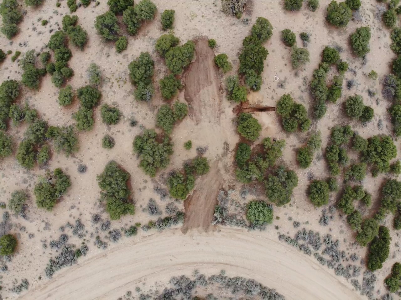 Land of Eternal Sunsets