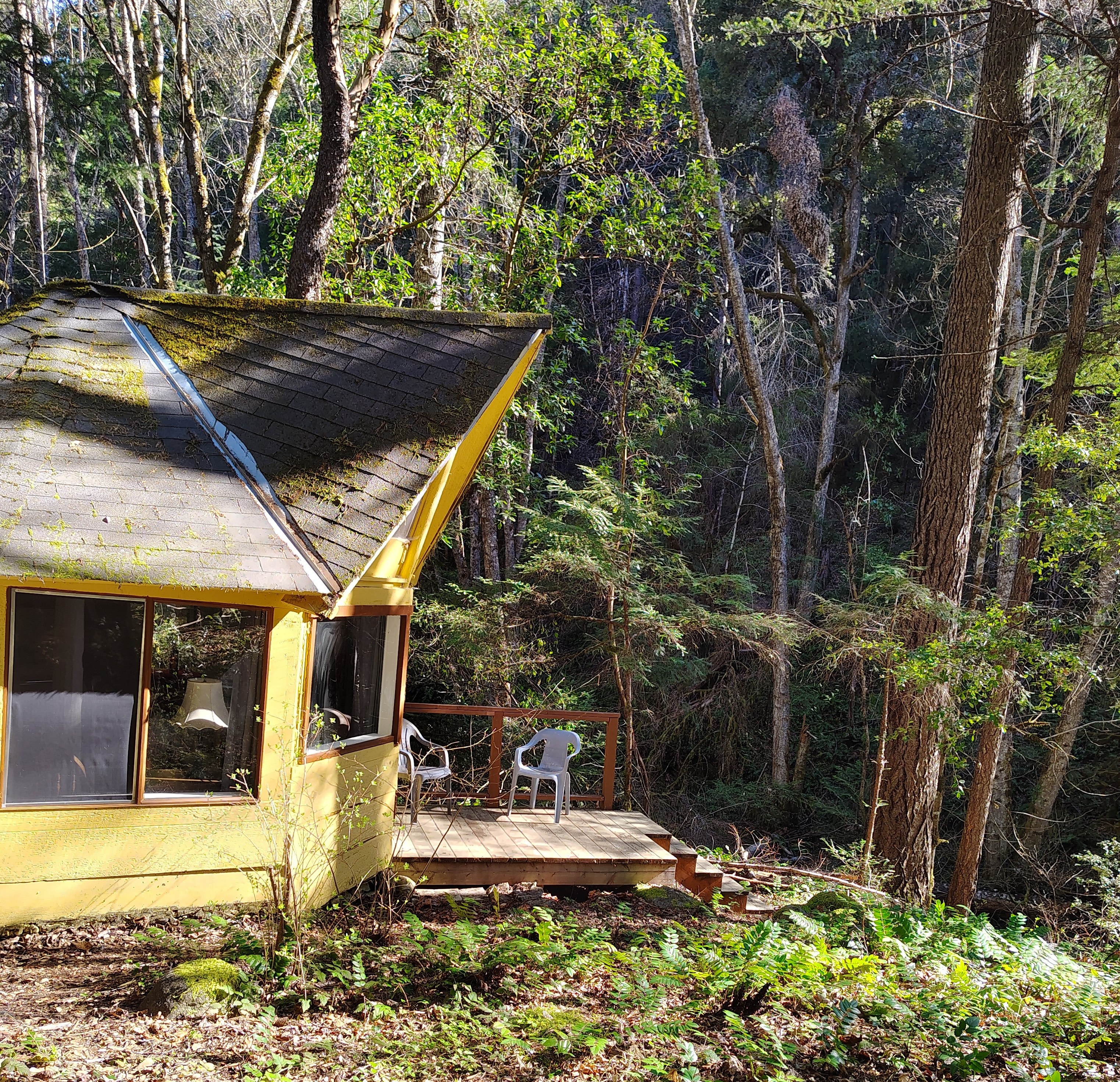 Creekside Cottage in Williams, OR