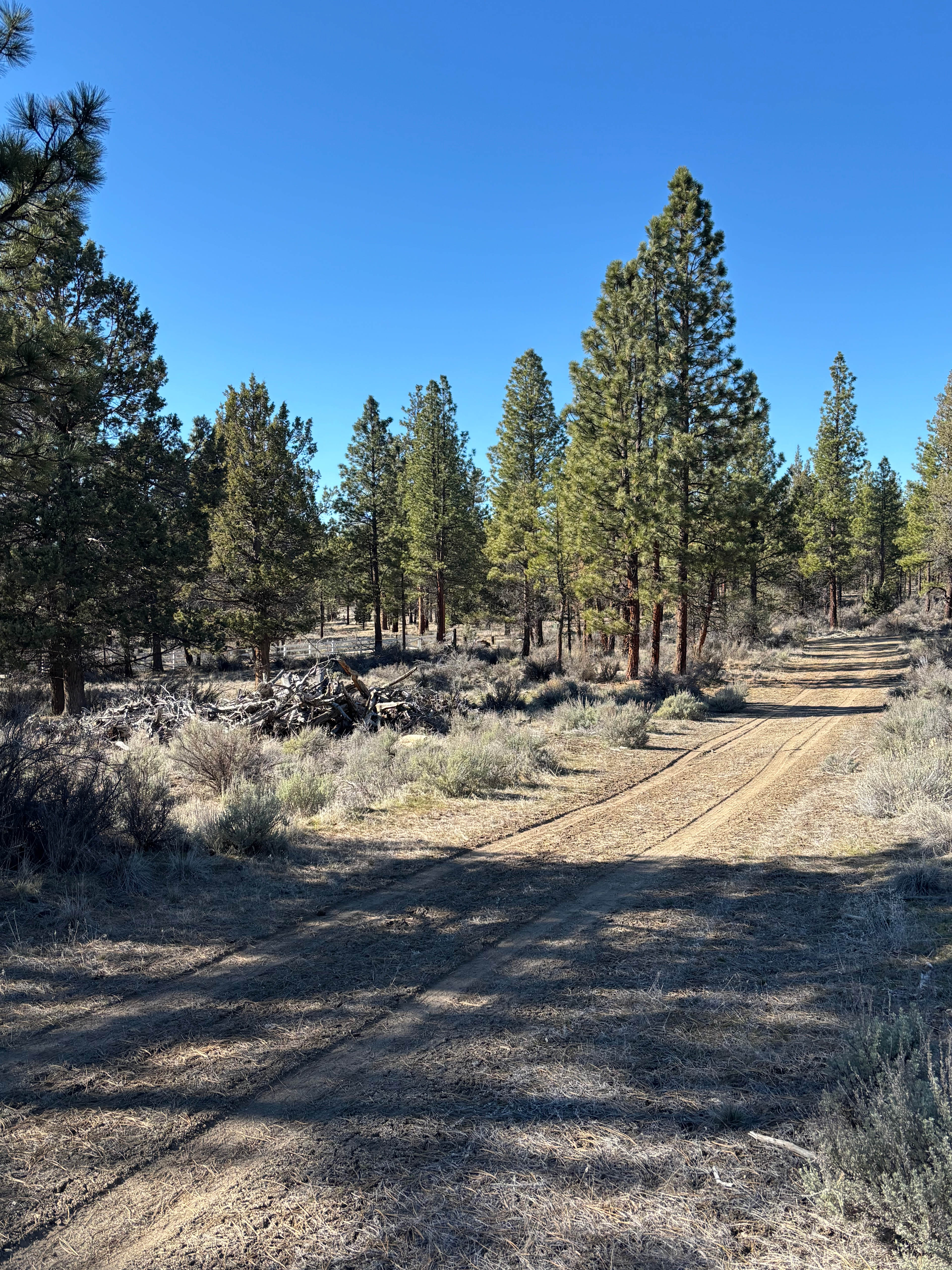 In the middle, farthest back, is the gate entrance.