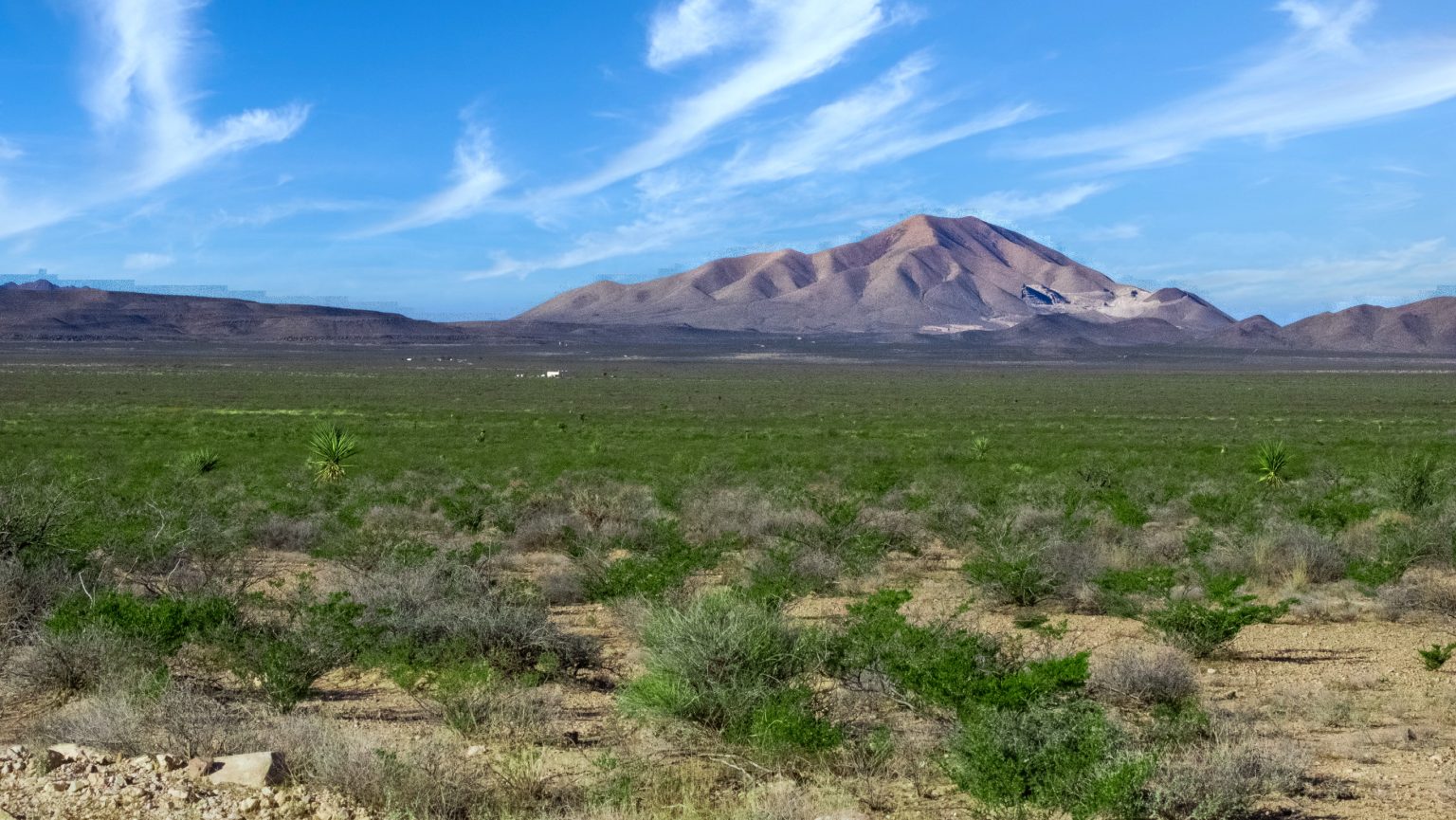 Off-Grid TX Desert Camping 20 Acres