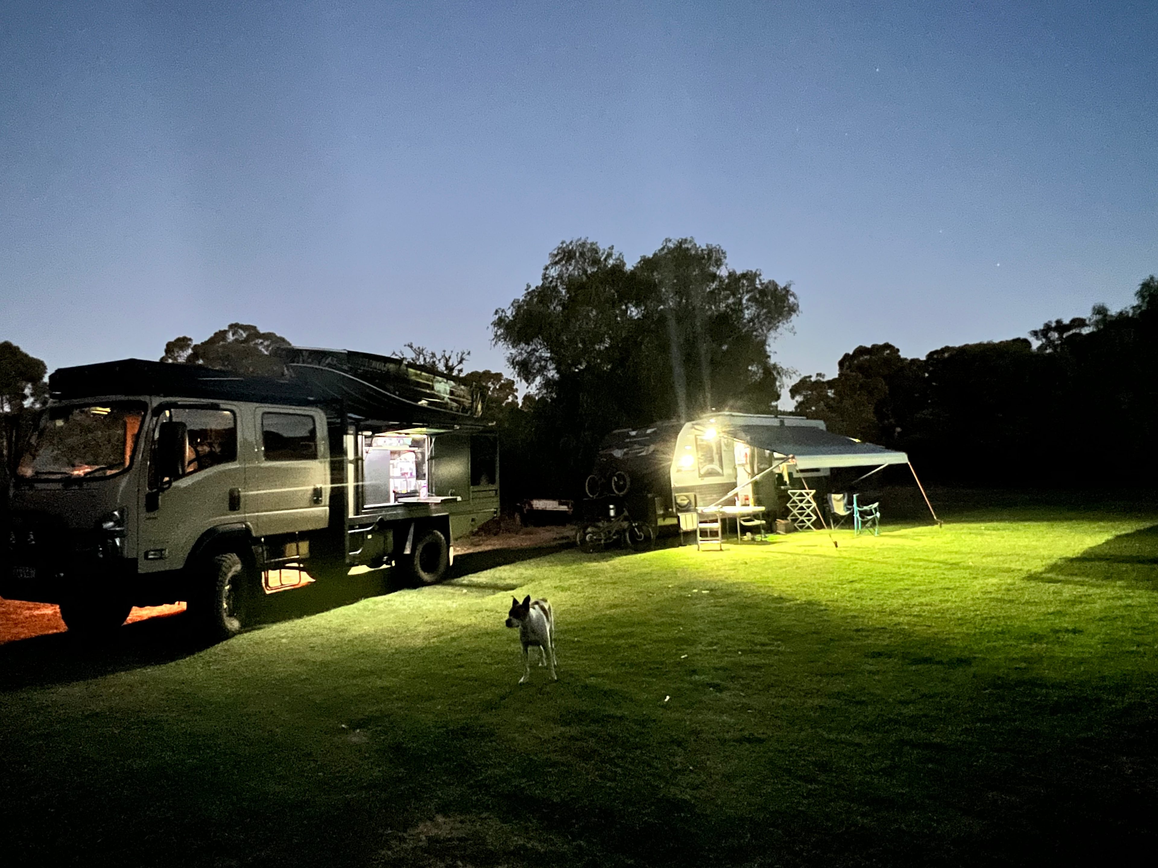 Paws & Feathers Farm