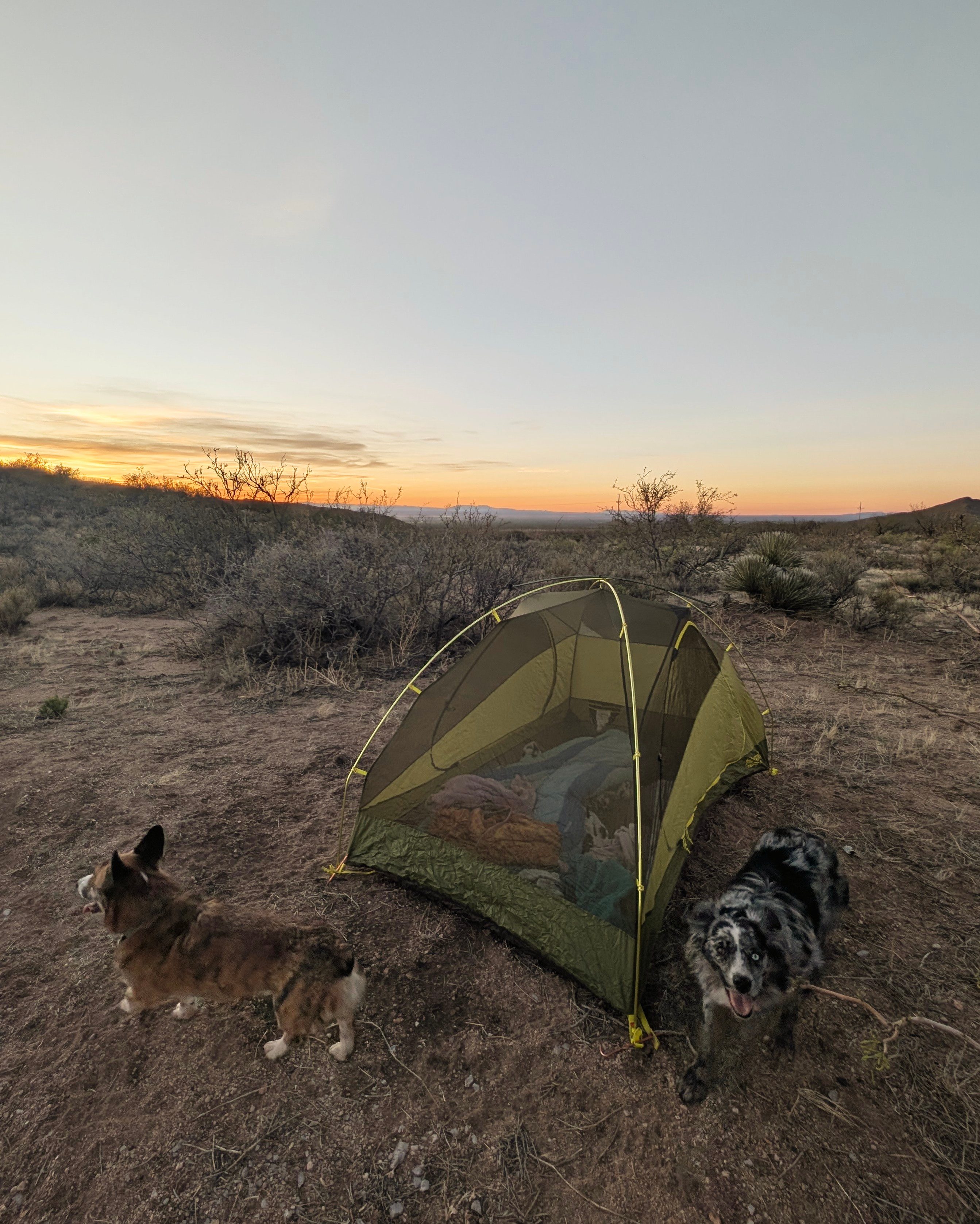 Organ Mountain Views