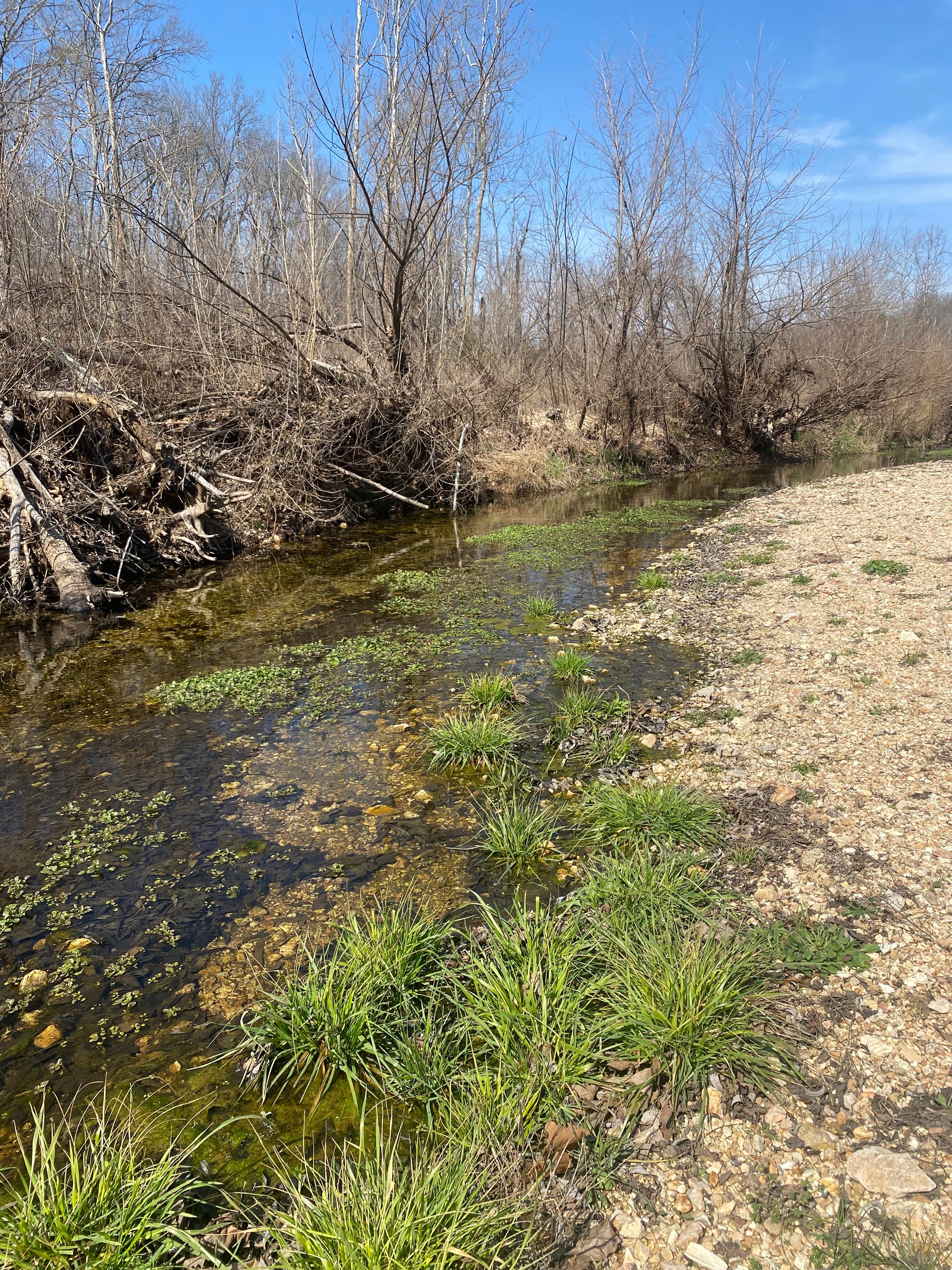 Legacy Of Four RV And Cabin