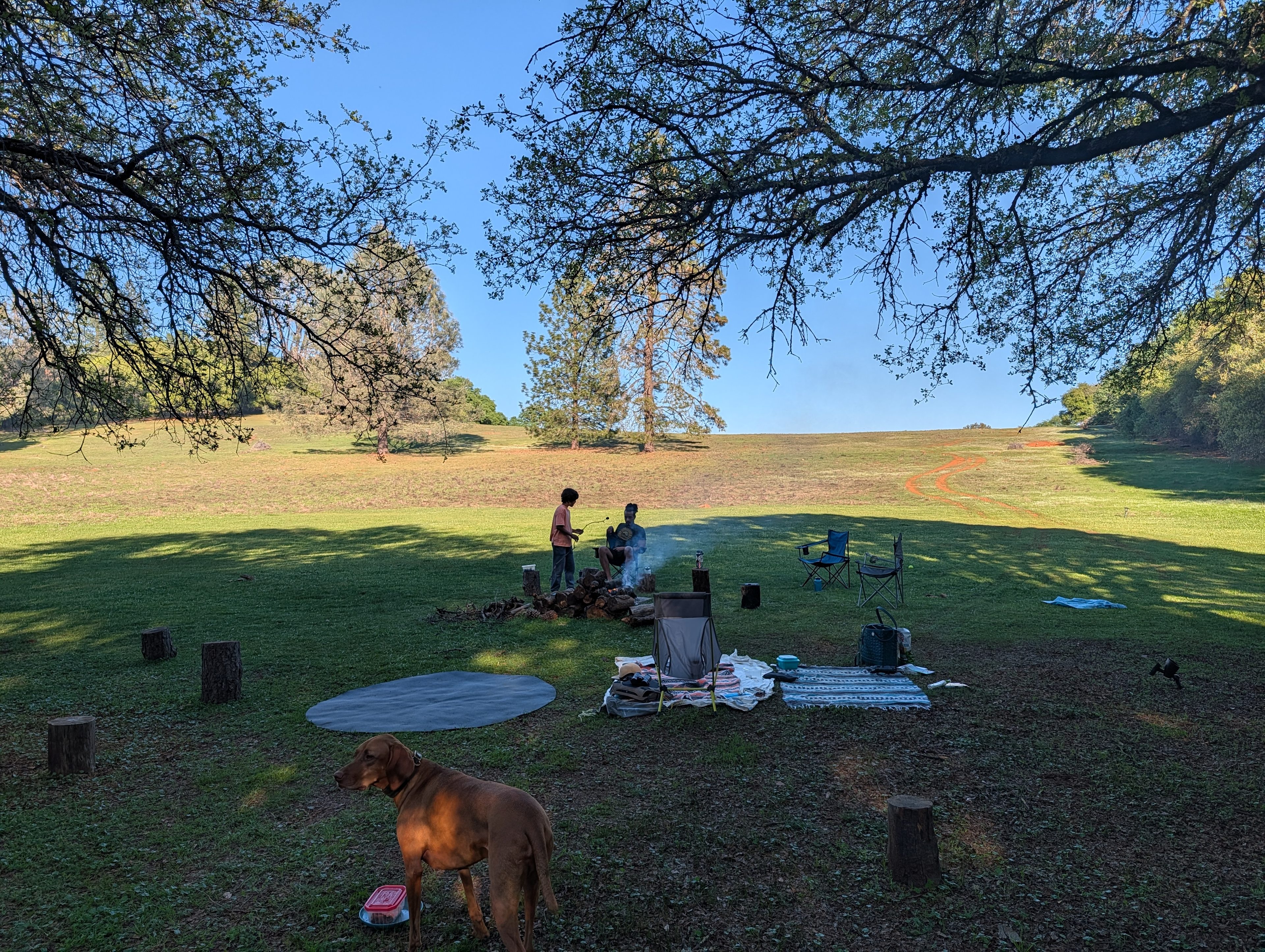 View from camping area with fire pit 