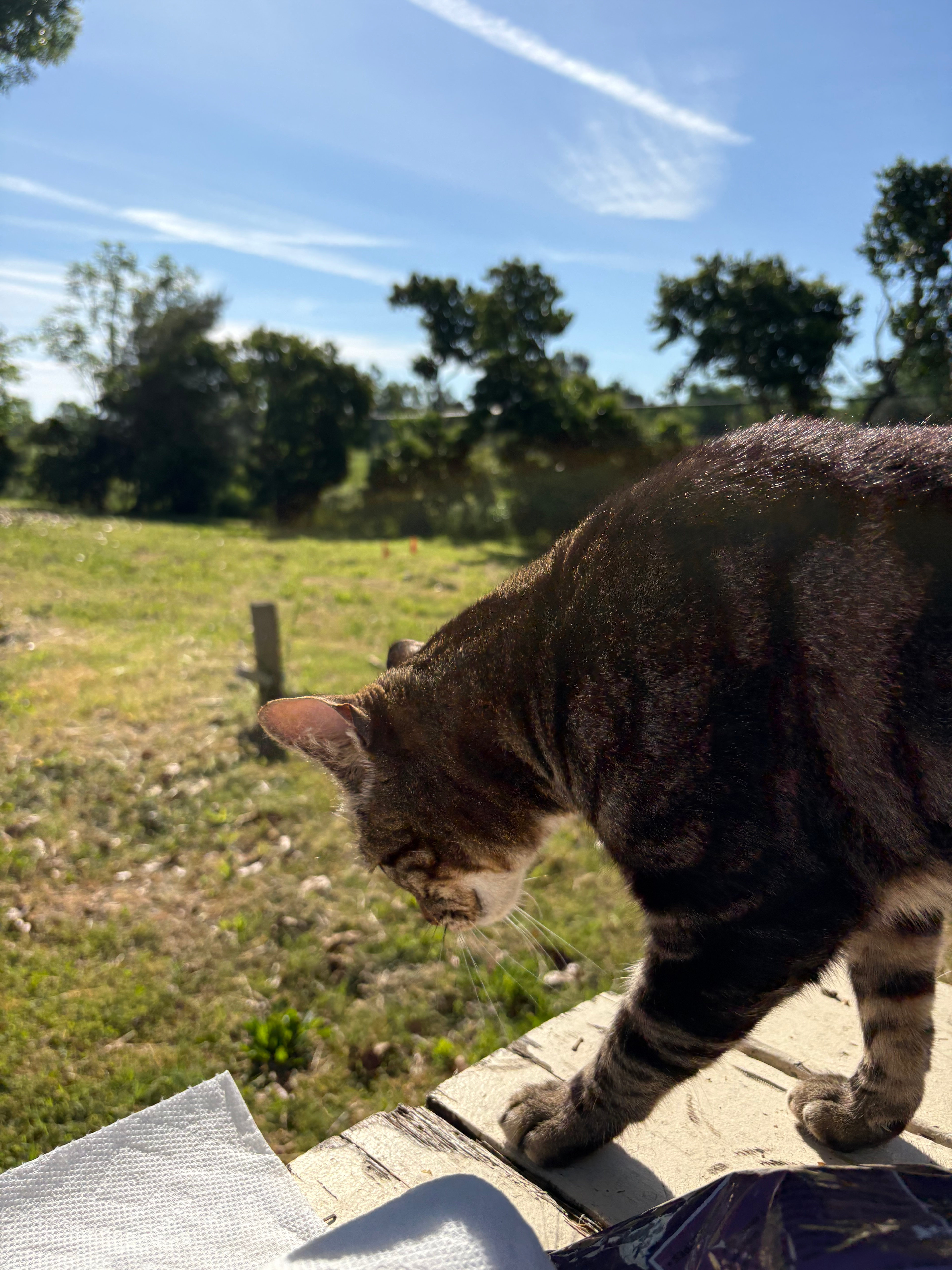 Feather River Campground & Lodging