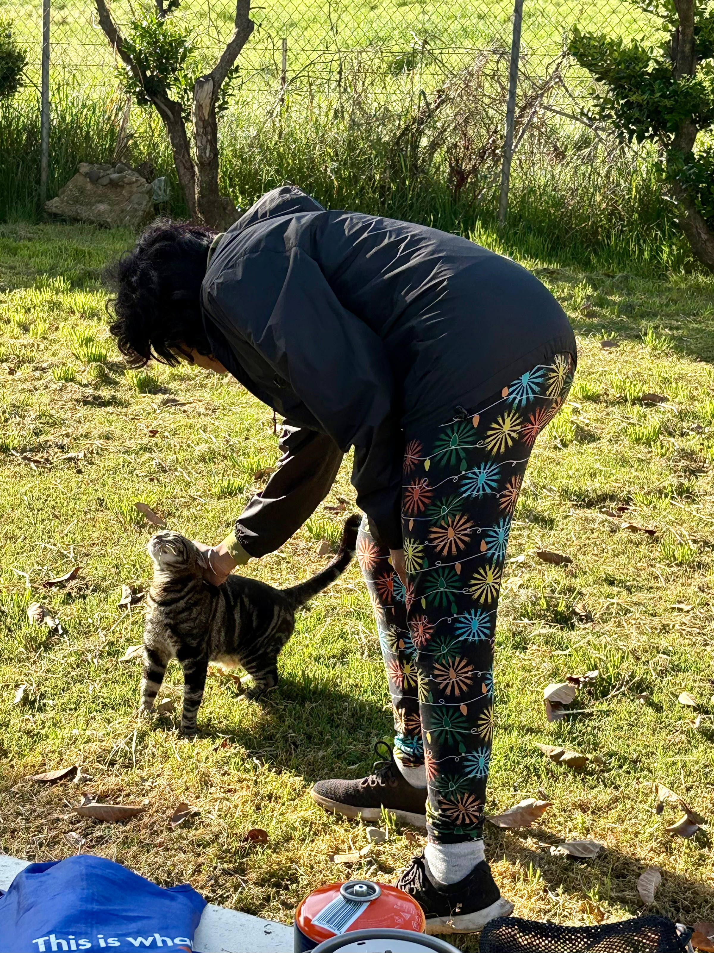 Feather River Campground & Lodging