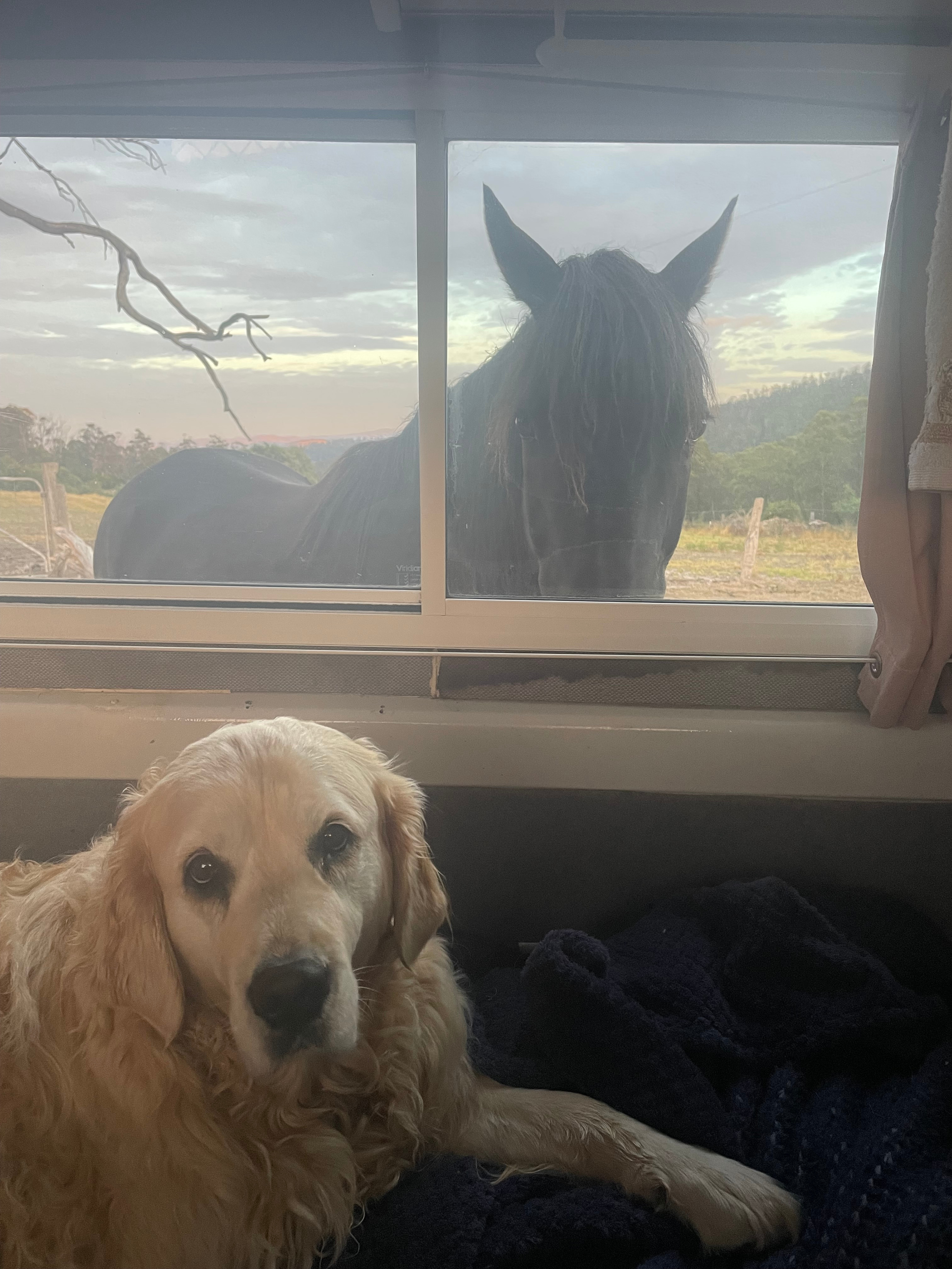 Luna hoping it not true