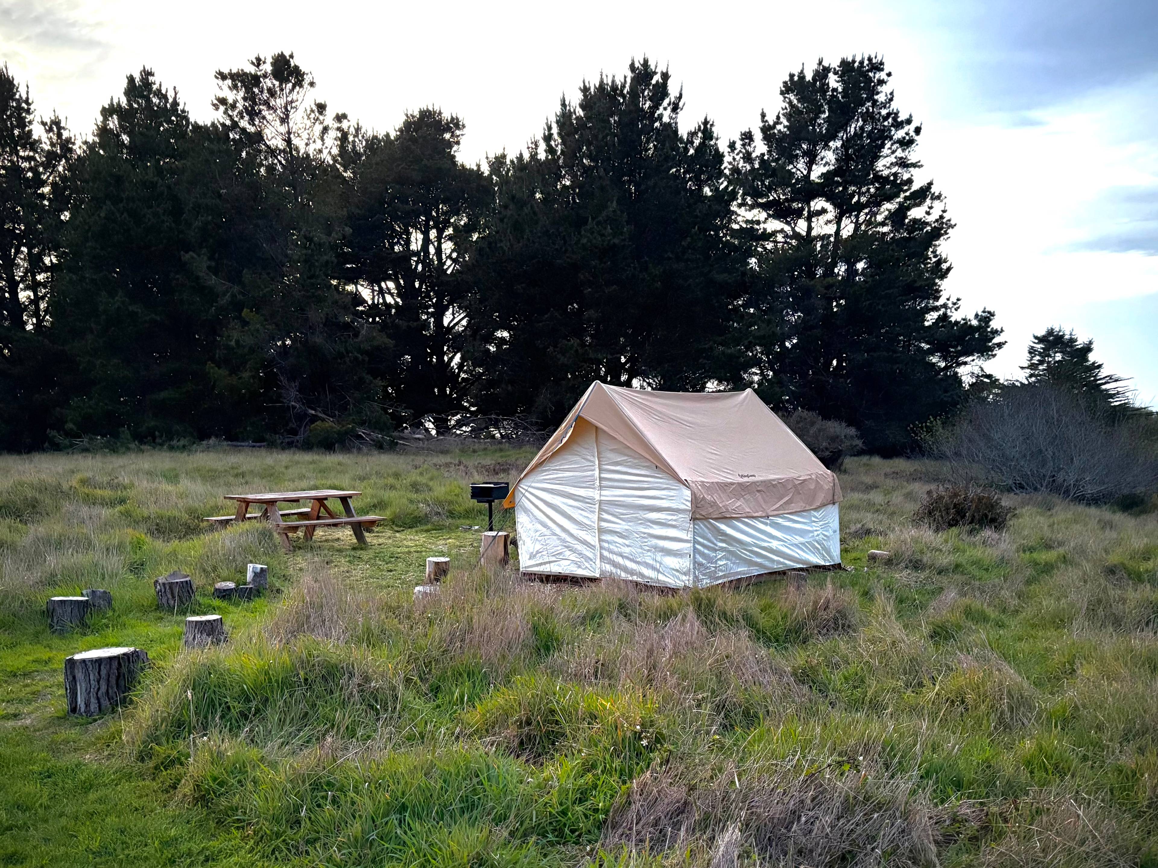 New Pine Grove Campground