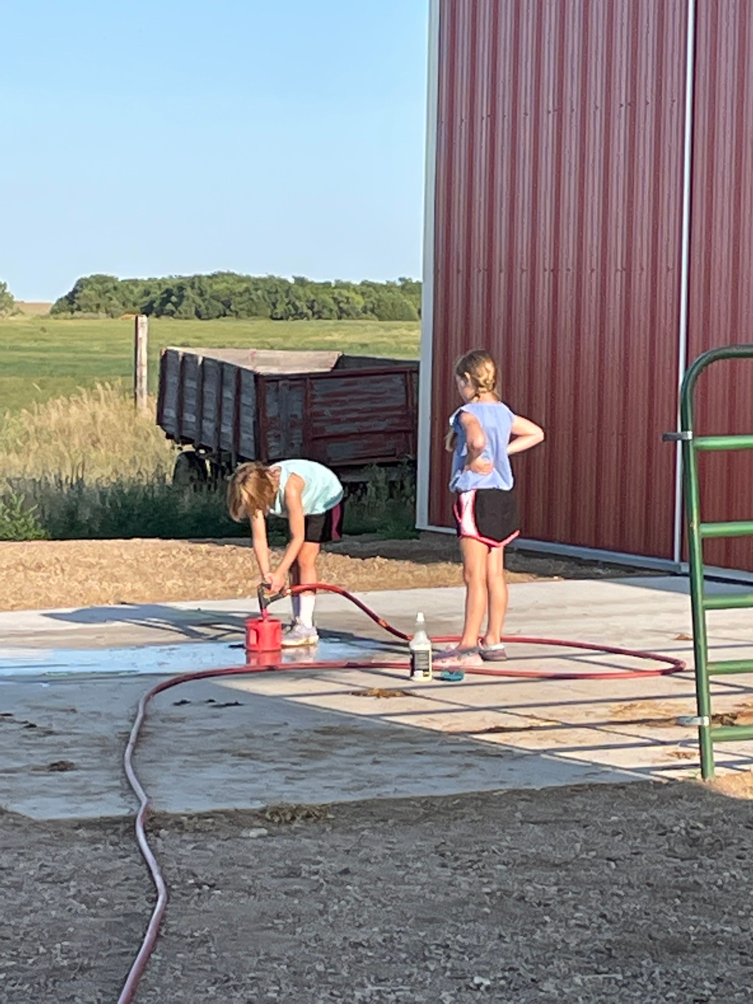 Wonnenberg Livestock