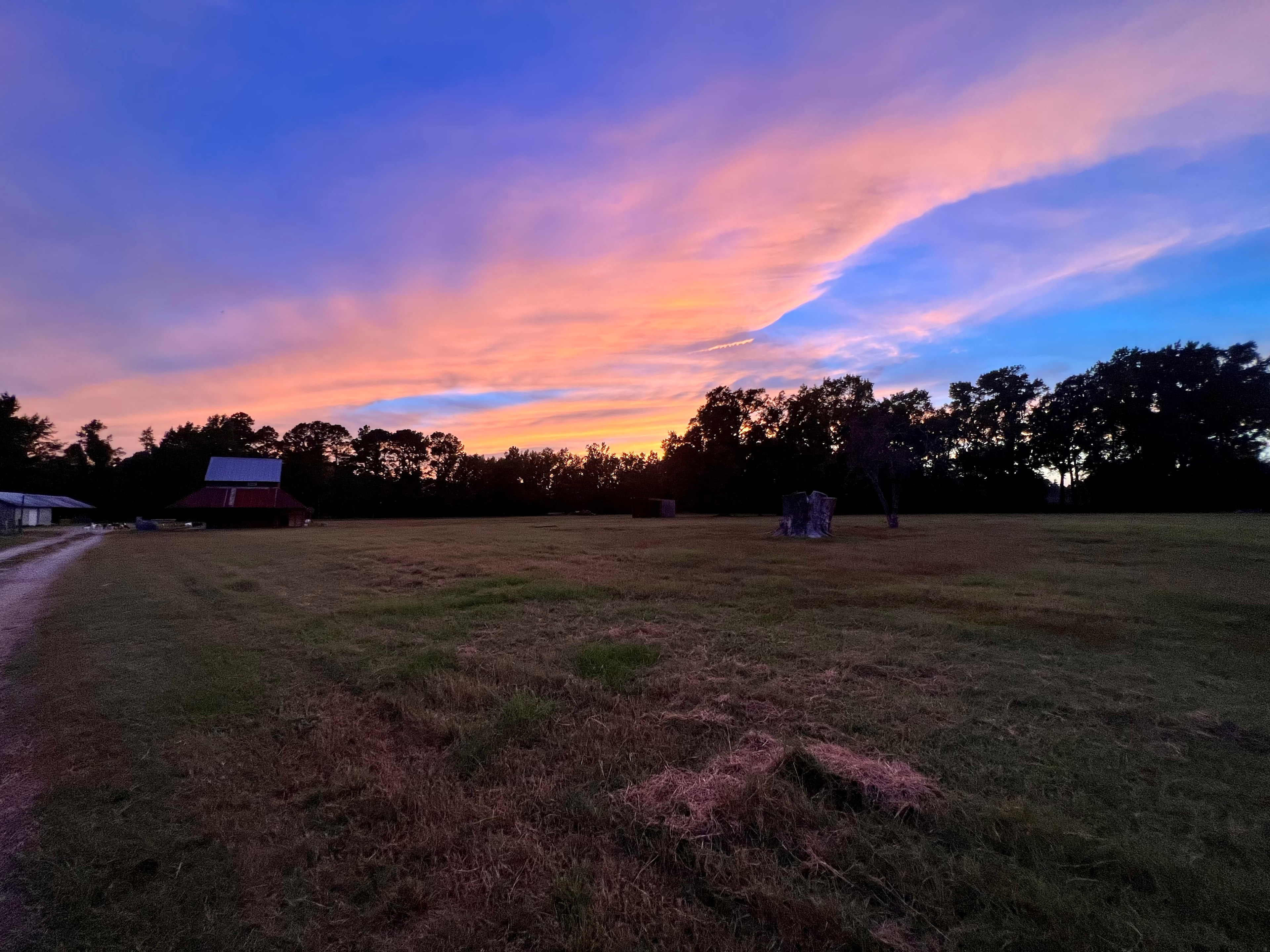 The Sycamore Tree Farm