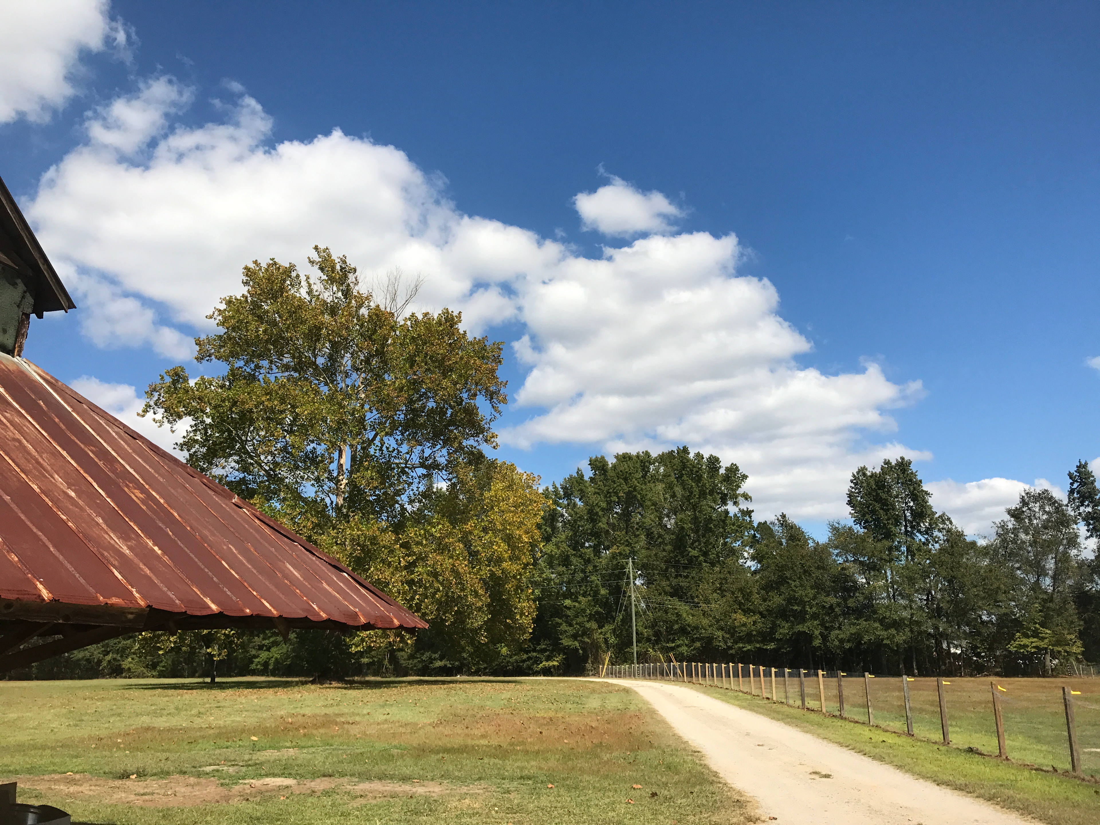 The Sycamore Tree Farm
