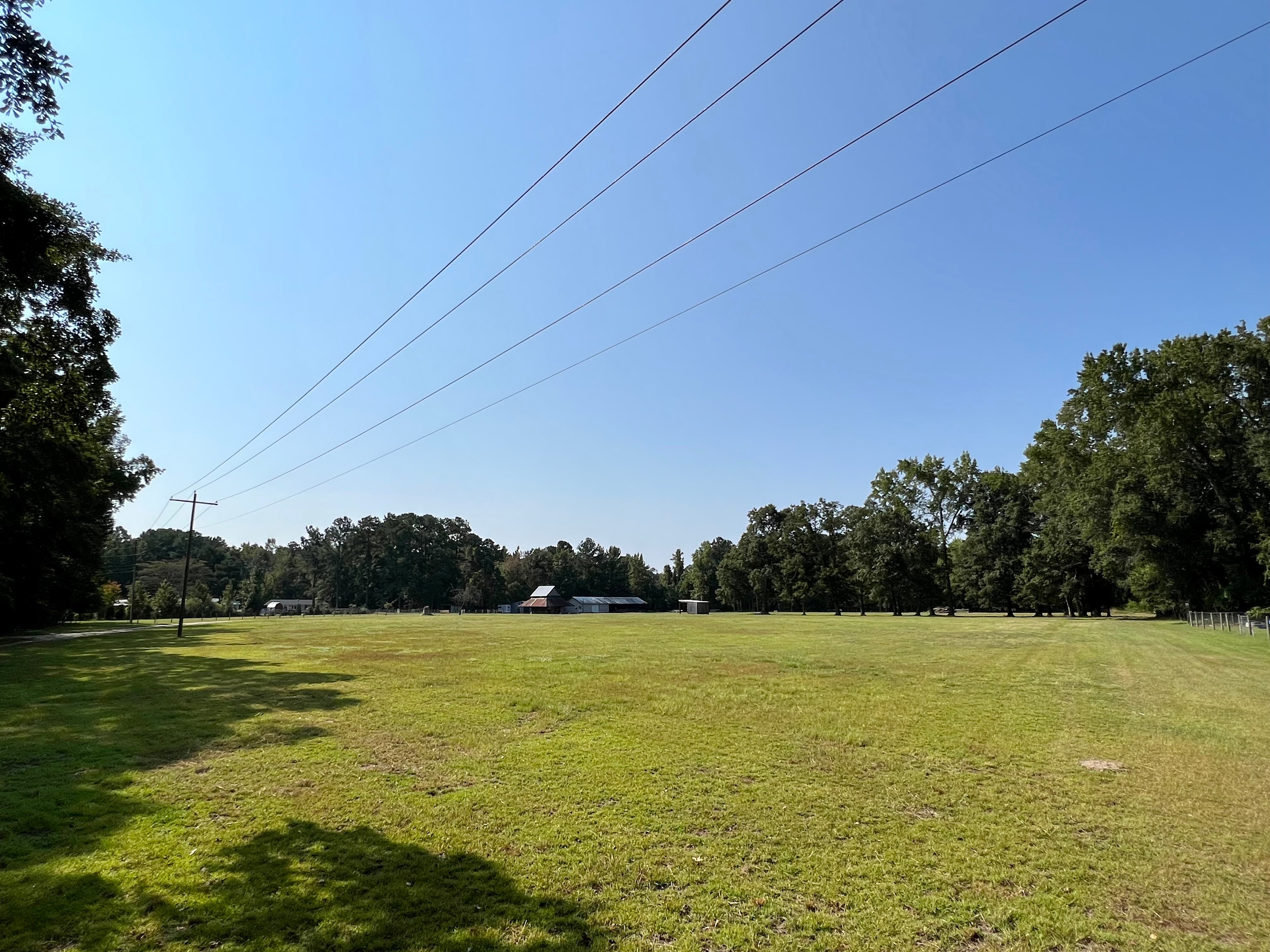 The Sycamore Tree Farm