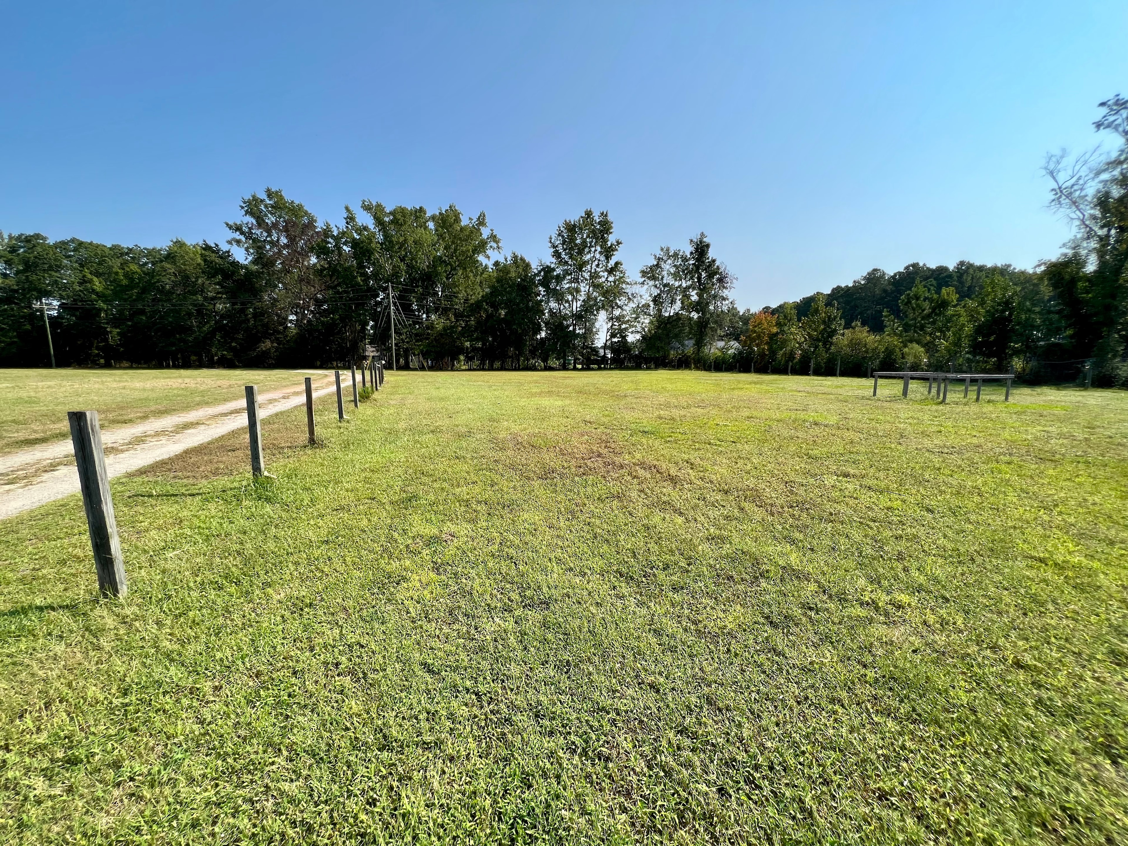 The Sycamore Tree Farm