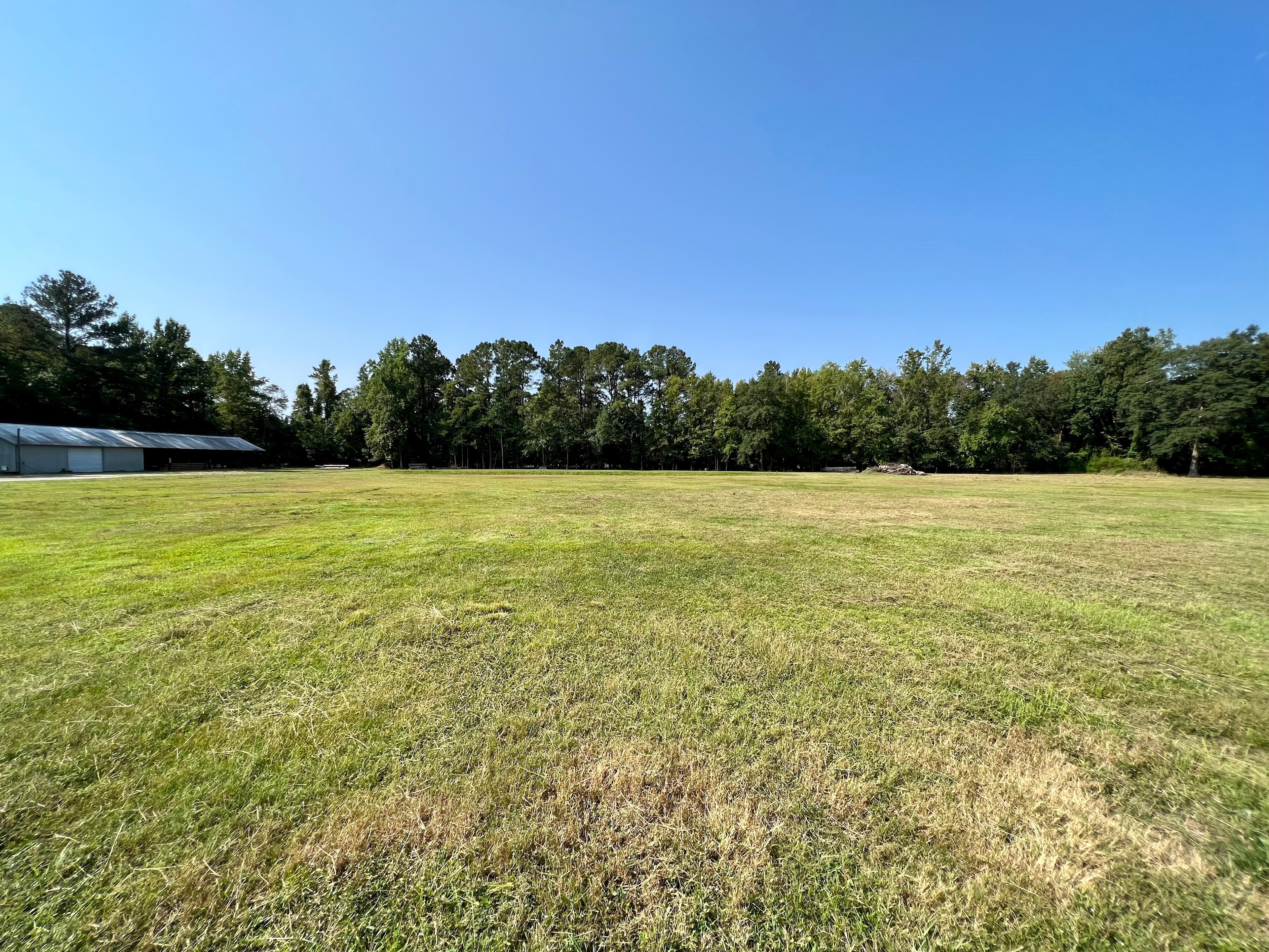 The Sycamore Tree Farm