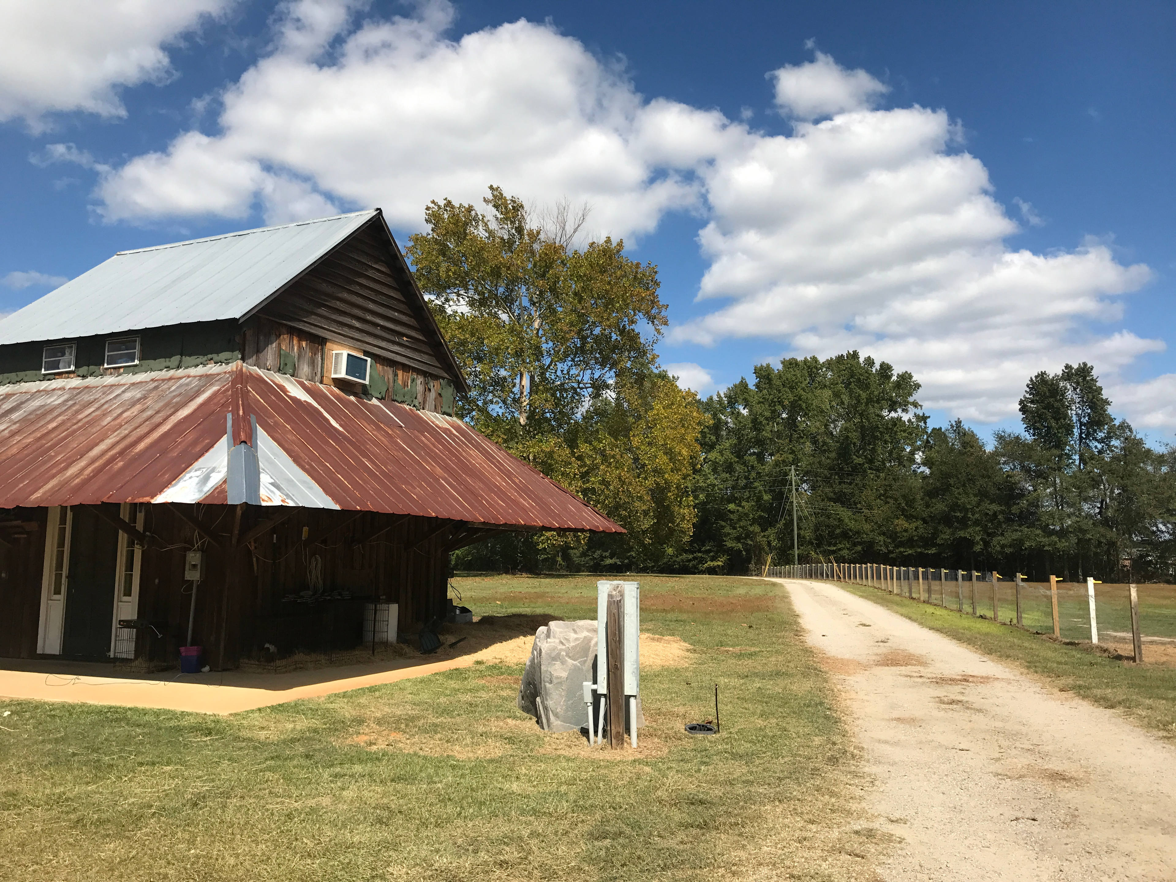 The Sycamore Tree Farm