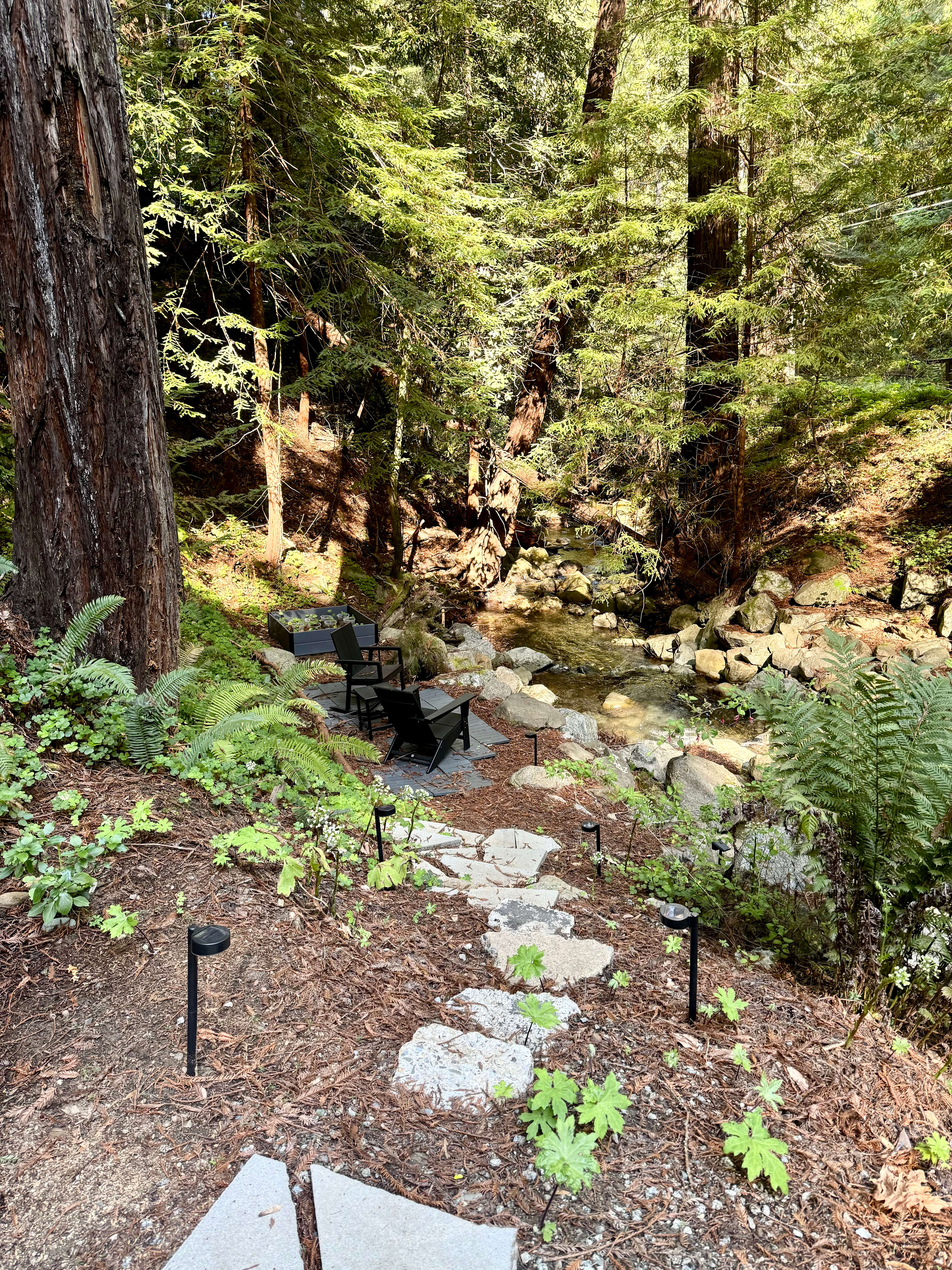 Leafy Lanes Tree House
