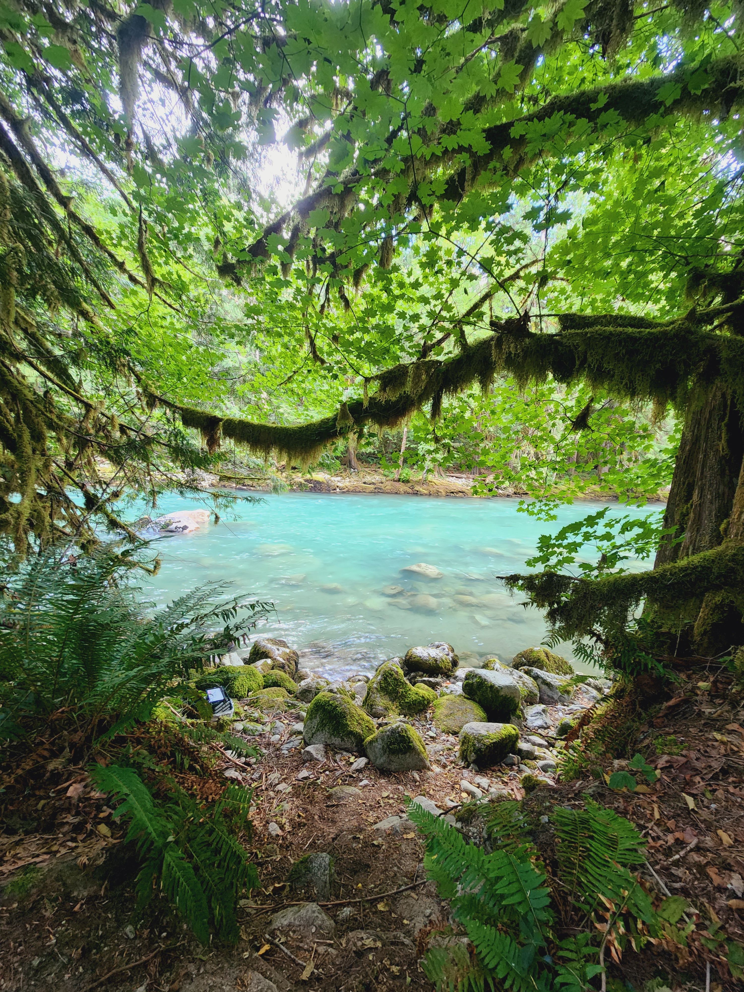 Hidden Gem Base Camp-Marblemount WA