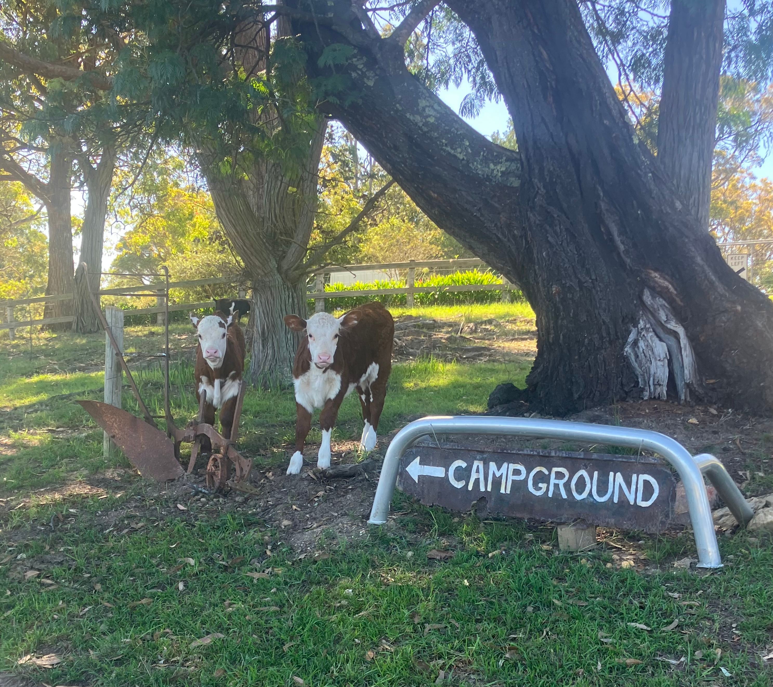 Pepper’s Farmstay South Coast