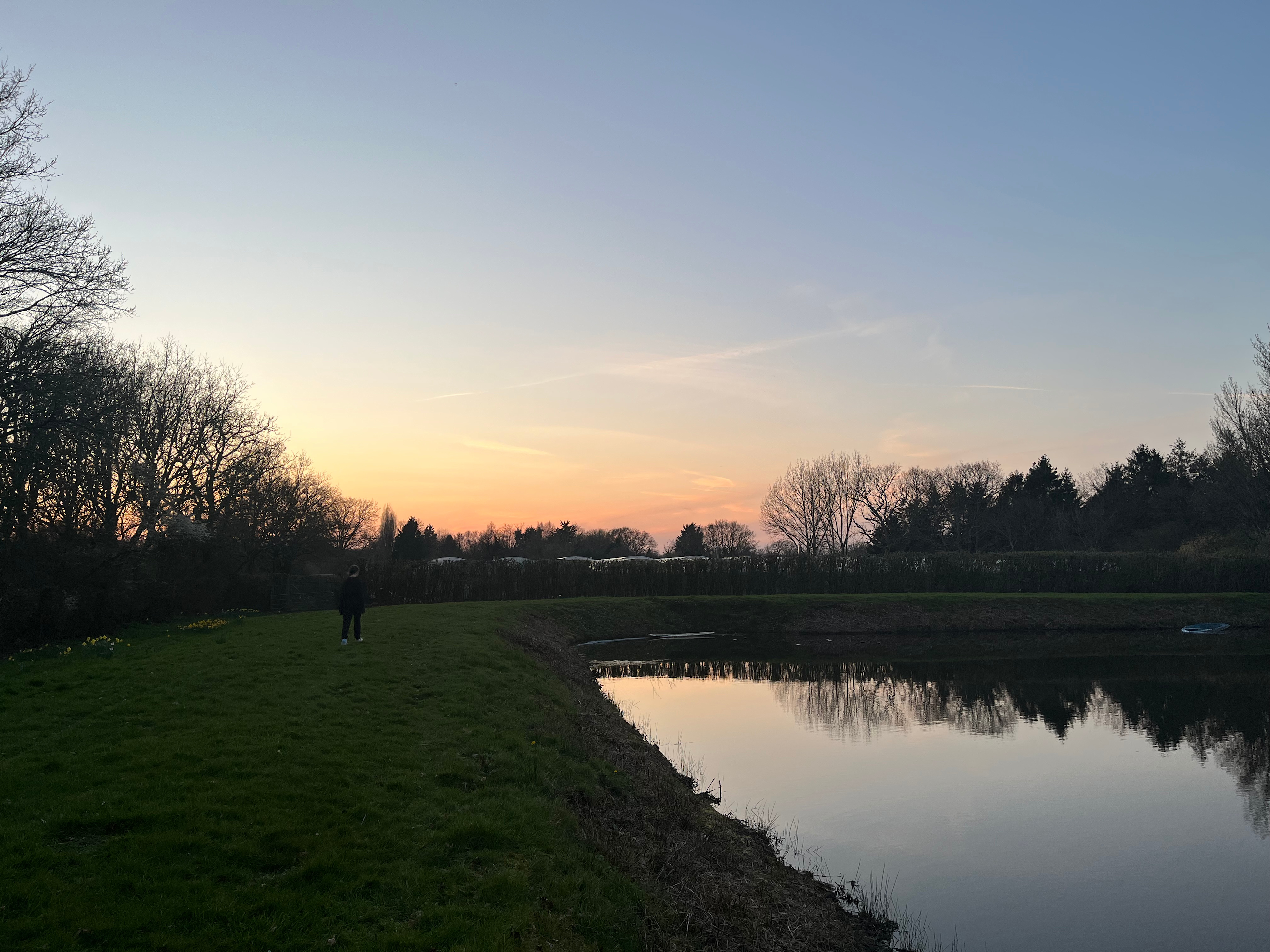 The Secret Pondside Pitches