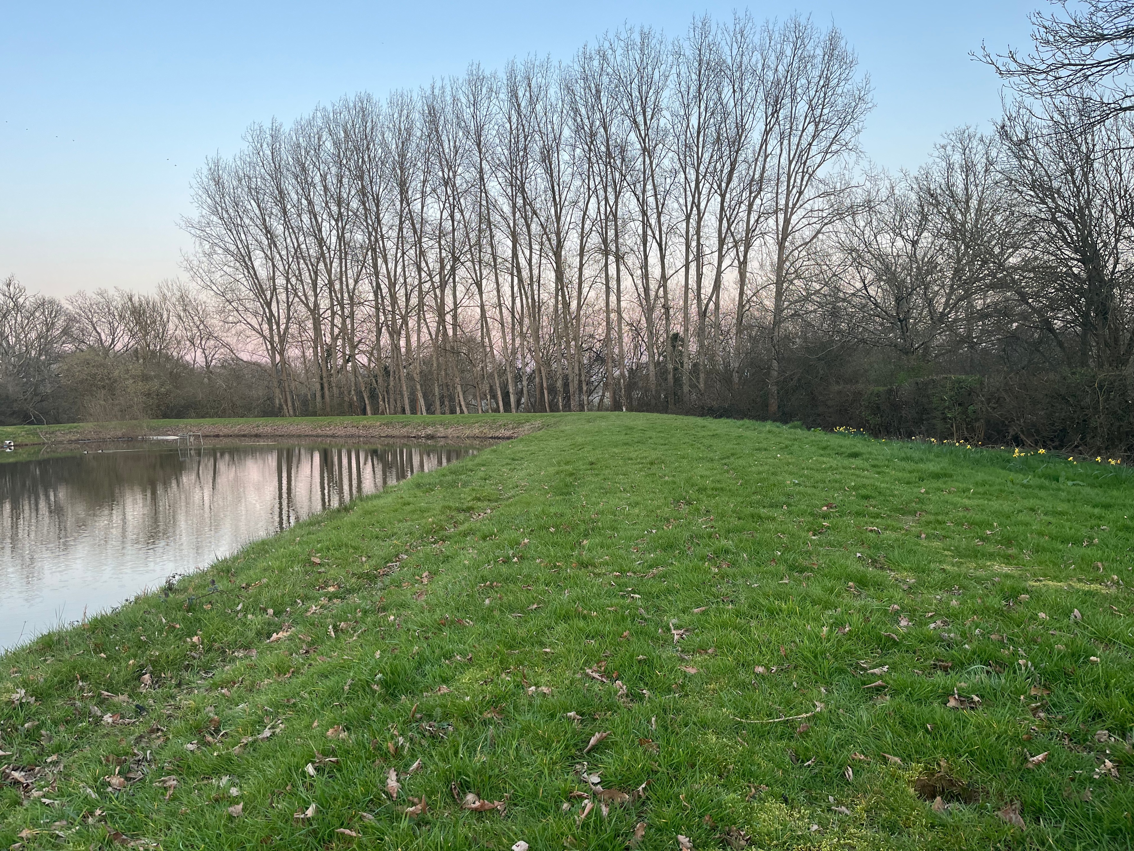 The Secret Pondside Pitches