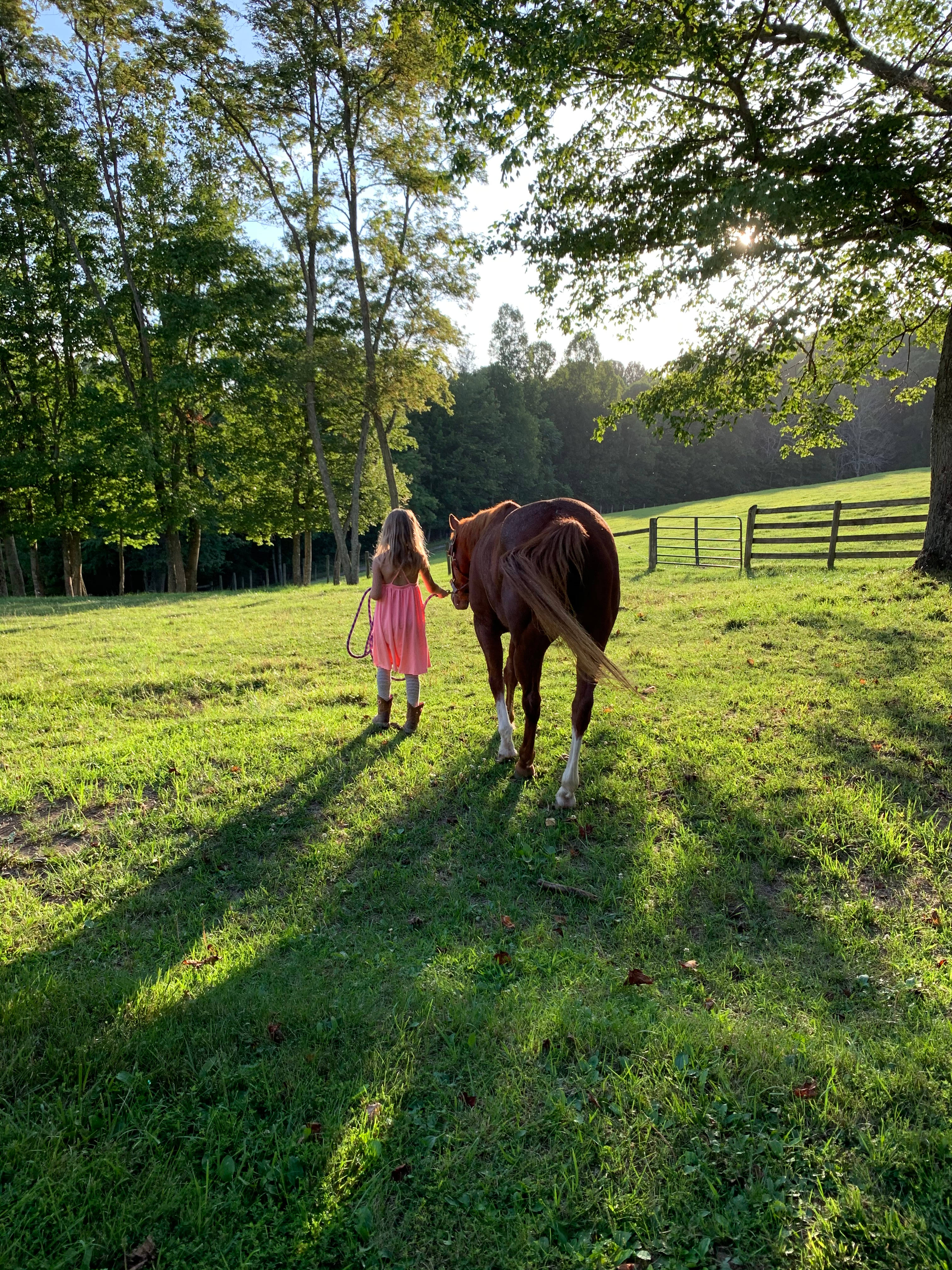Camp Creek at Little River Farm