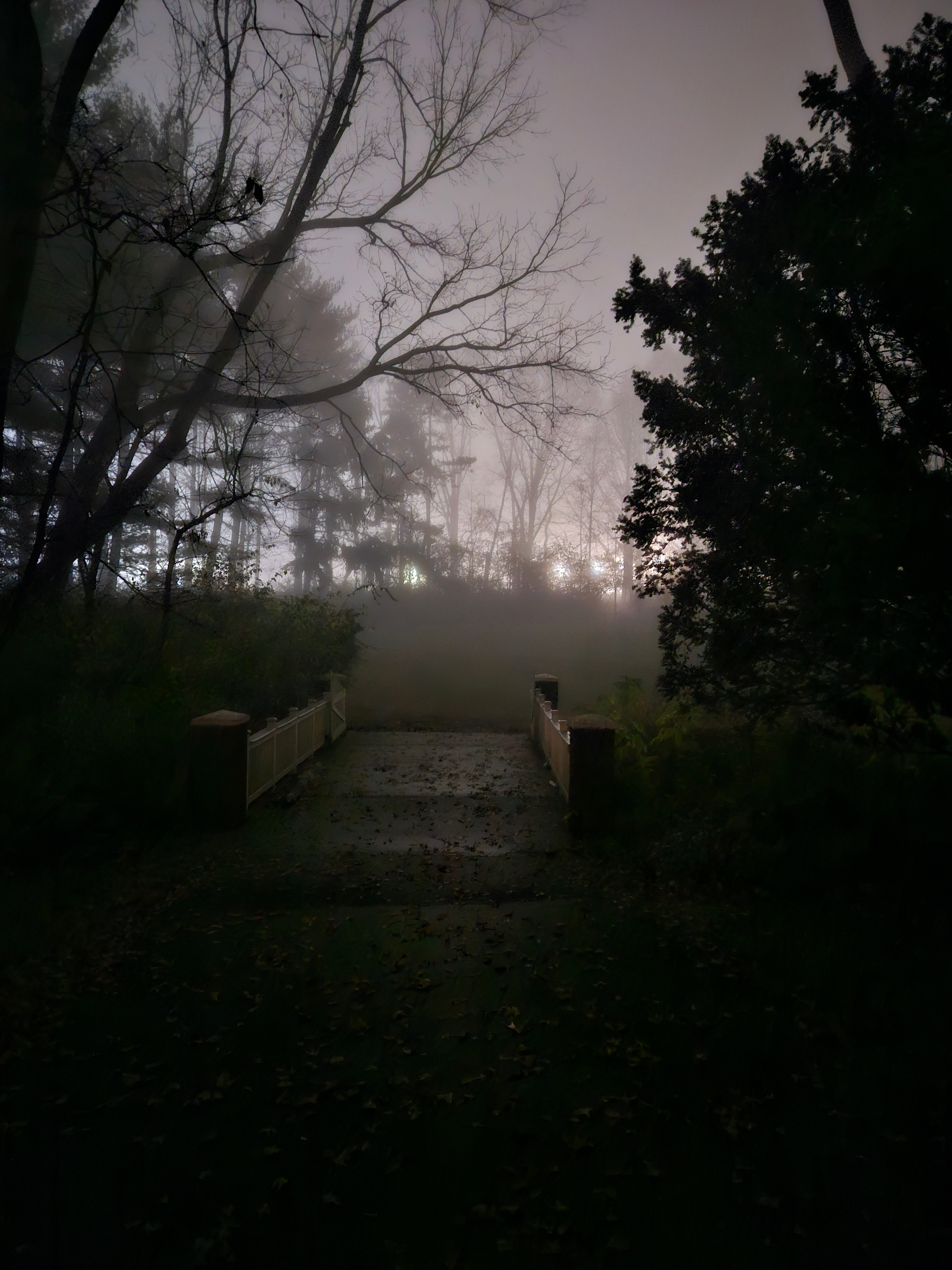 Foggy evening 