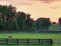 Harmony Acres