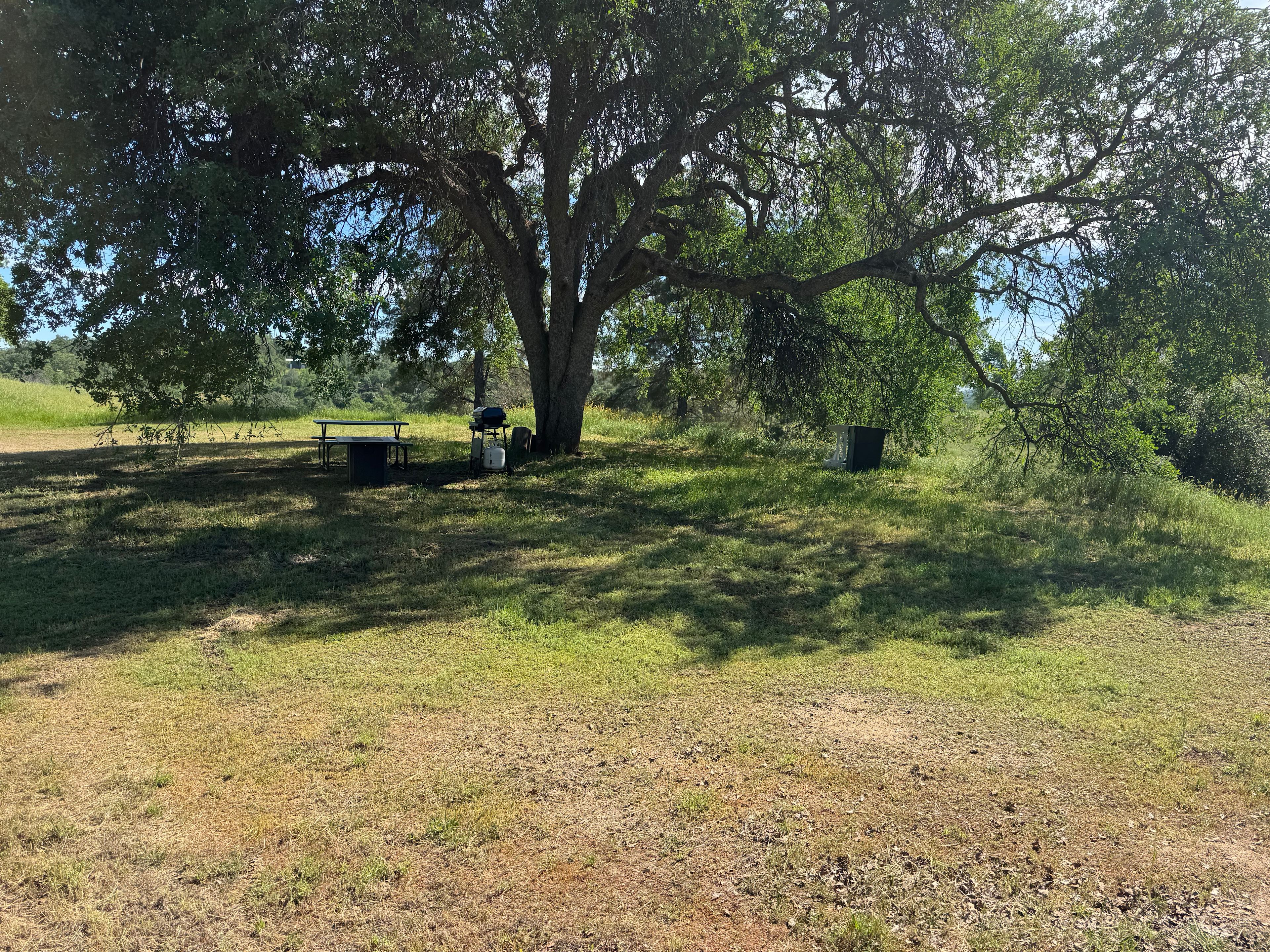 Ace's Yosemite Hide Out