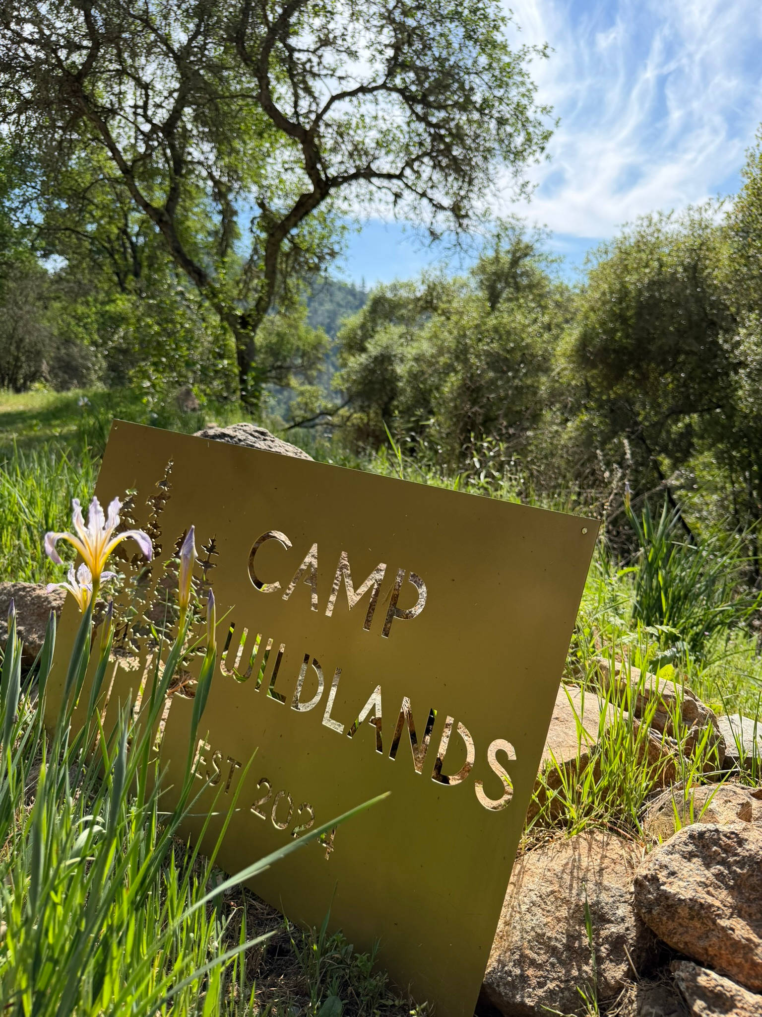 Camp Wildlands Yuba