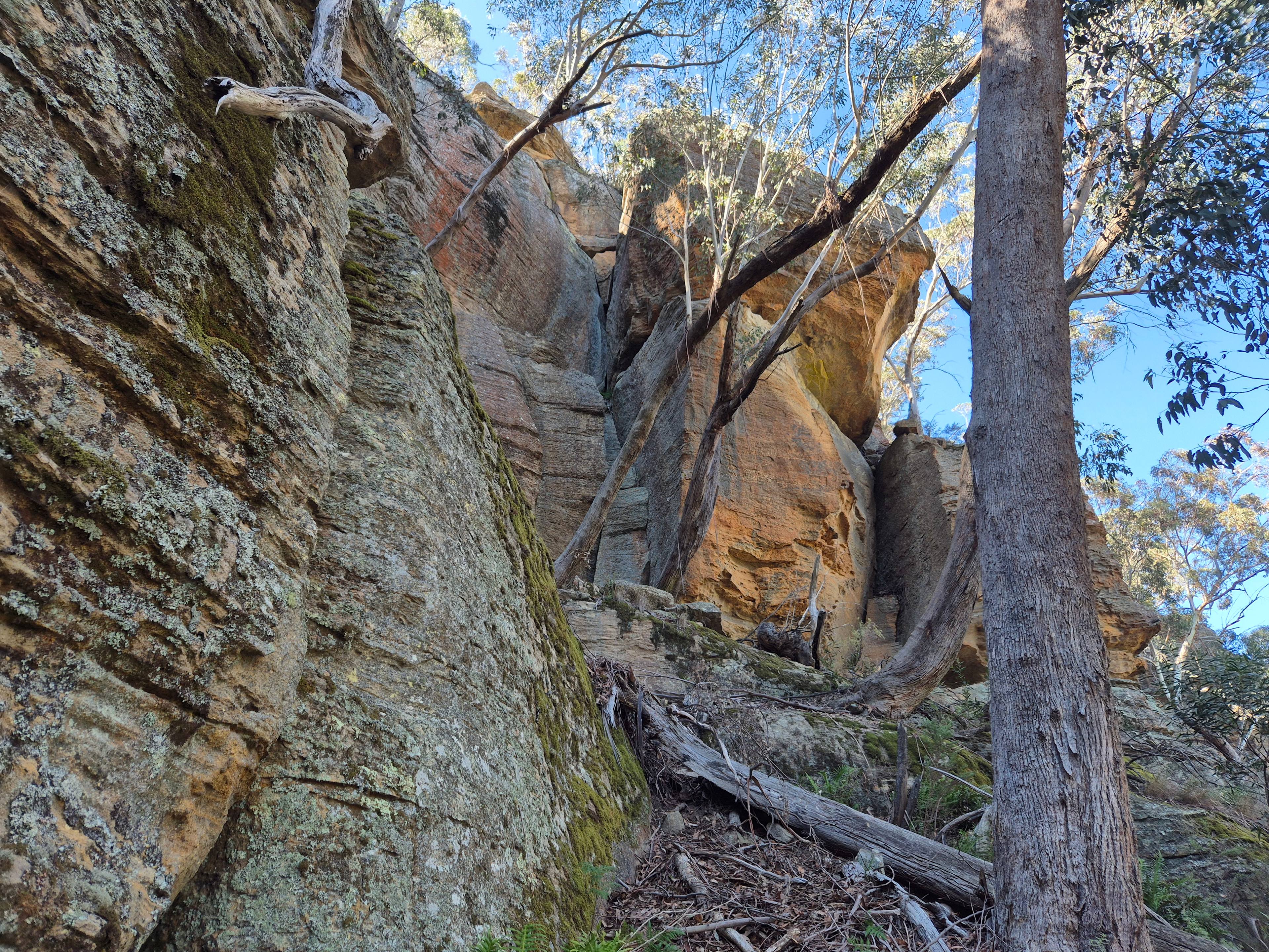 Blue Mountains Glamping Retreat