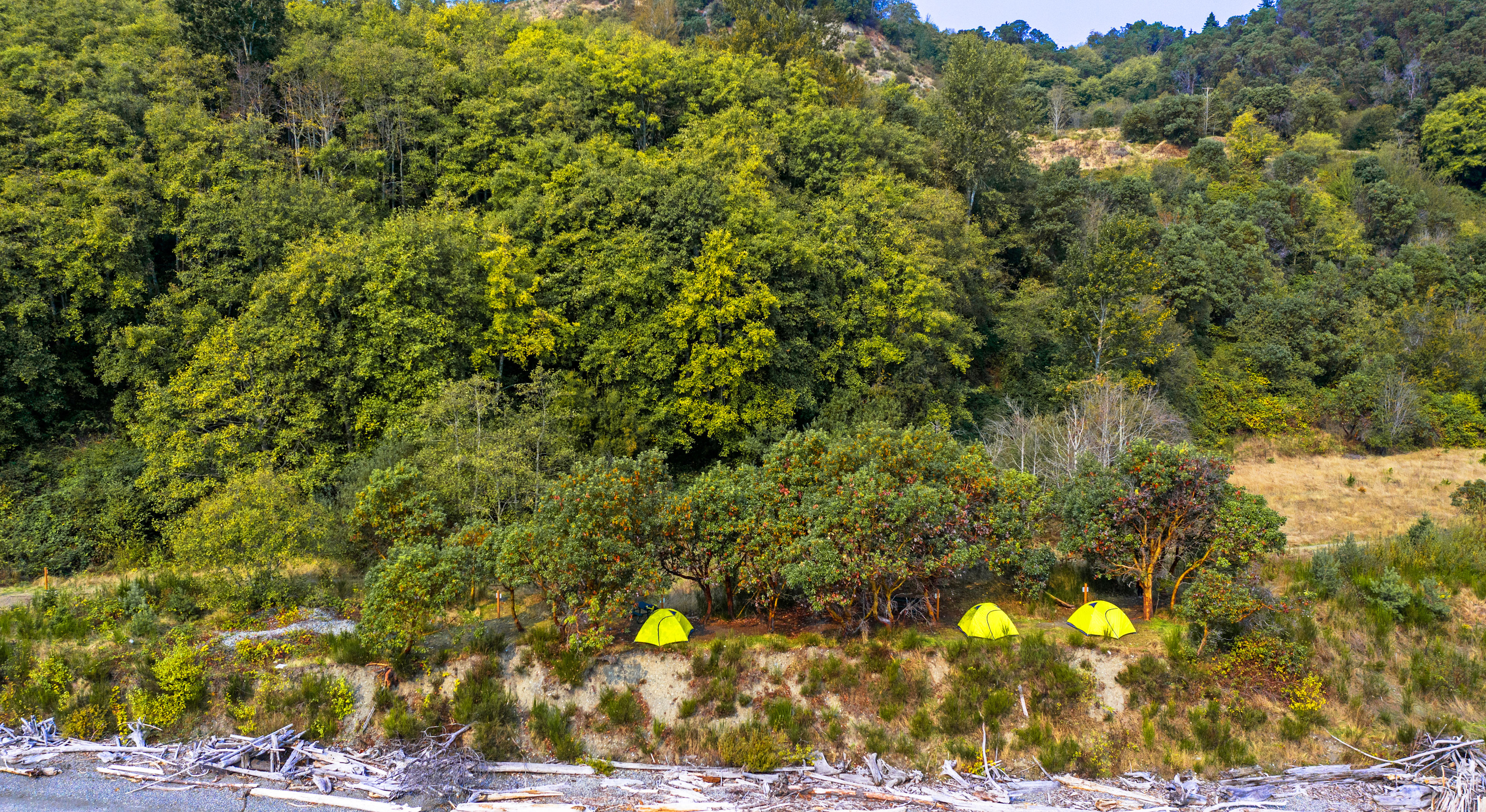 King County's Maury Island Marine Park 