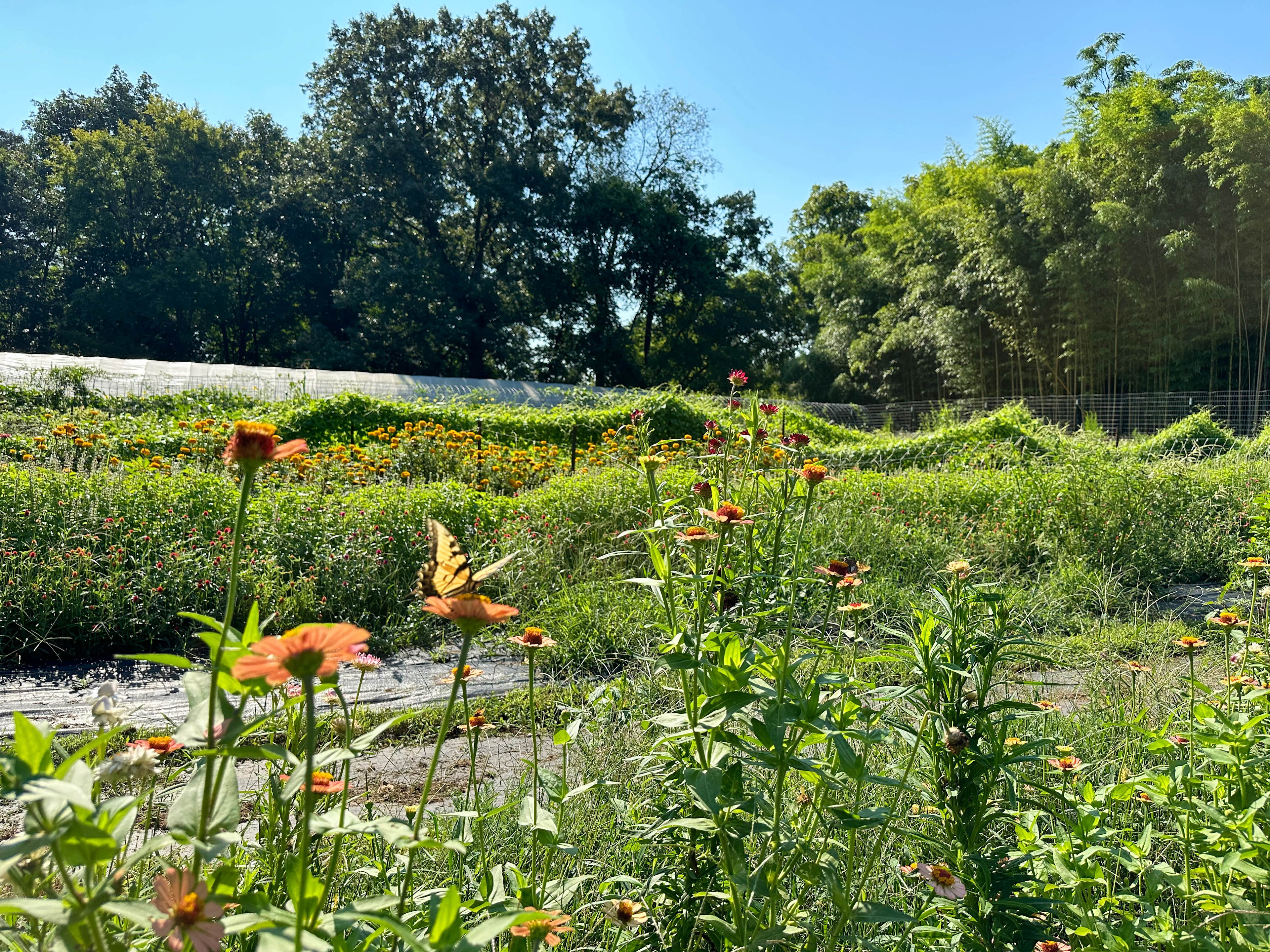 Kingdom Gardens - Christian Farm