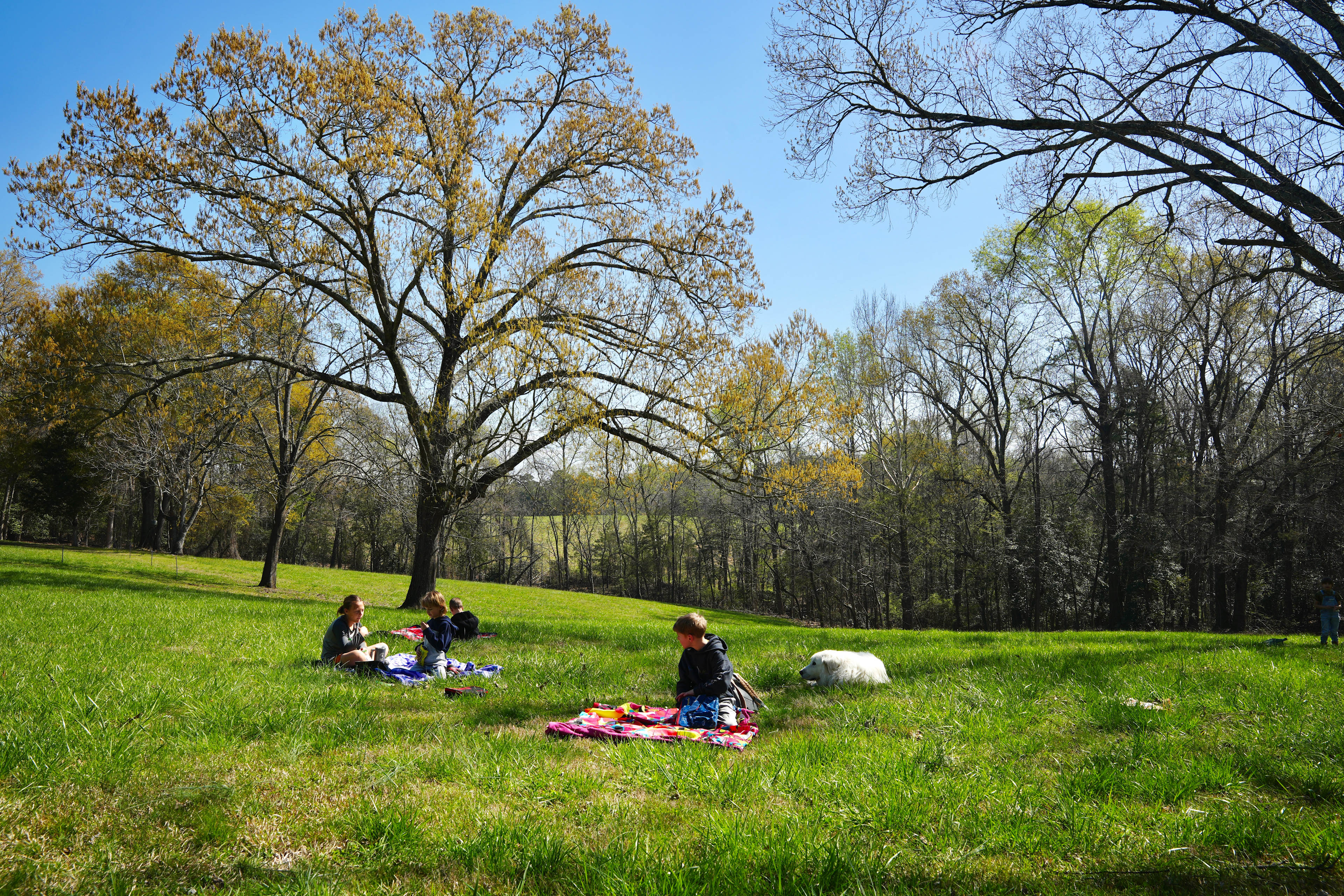 Kingdom Gardens - Christian Farm