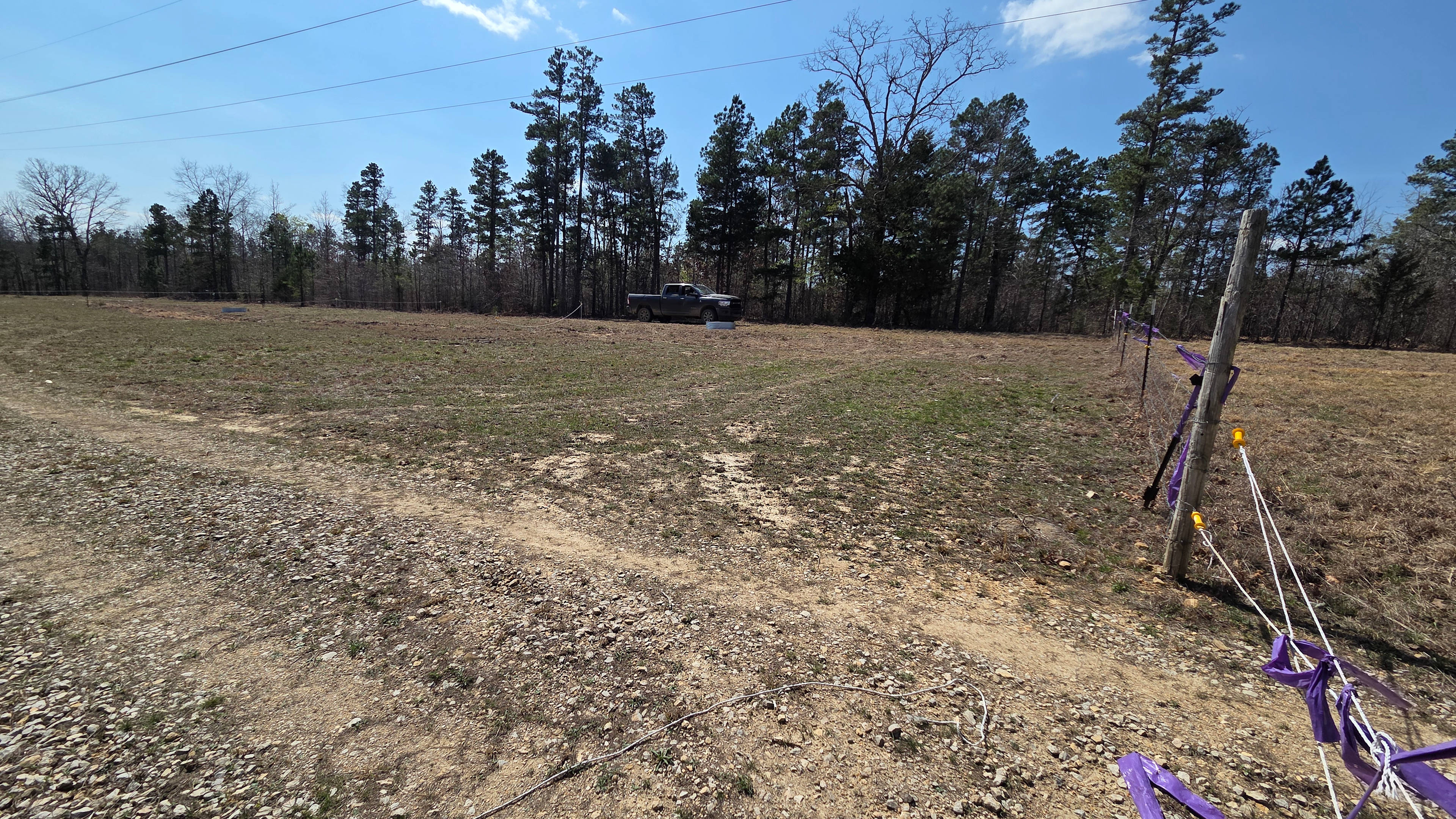 Ozark Ridge Spike Camps