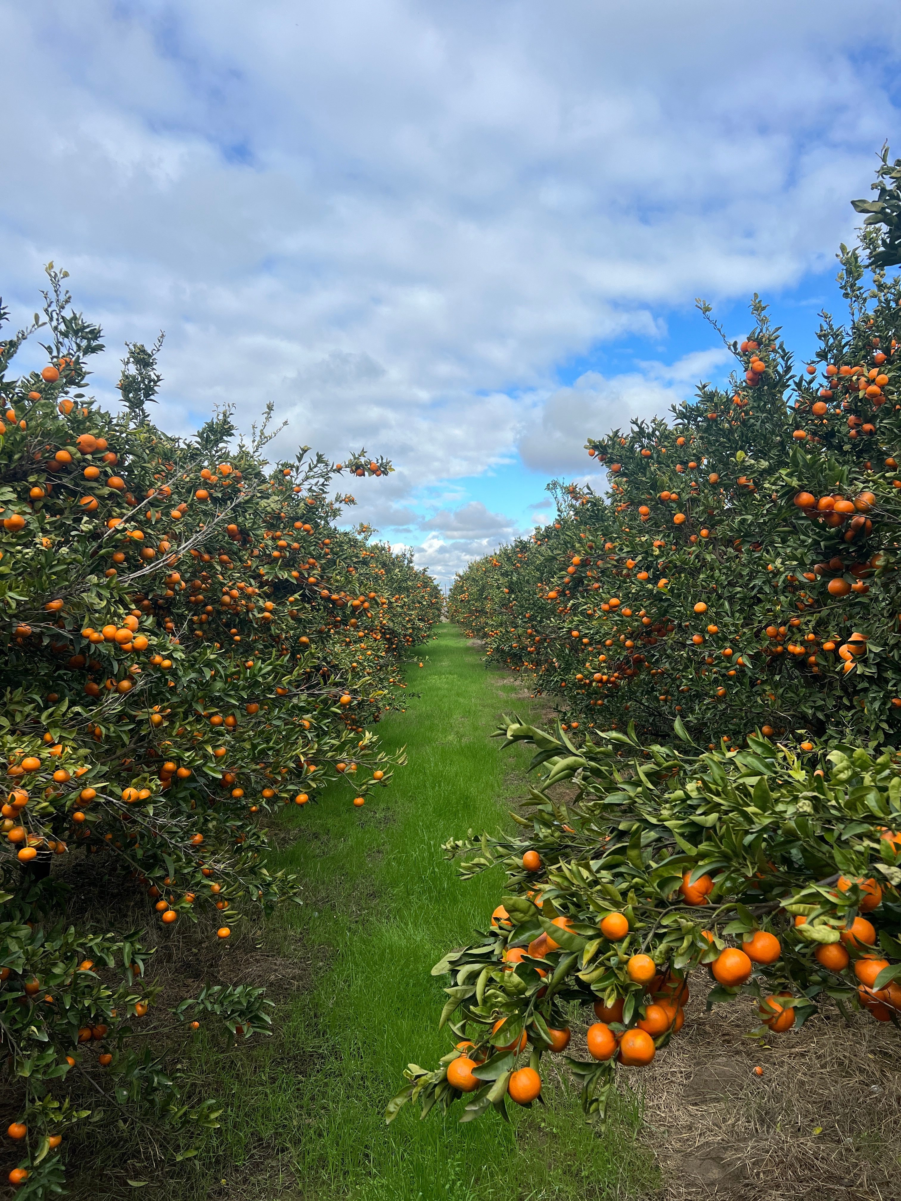 Organic Farm Boondock Camp