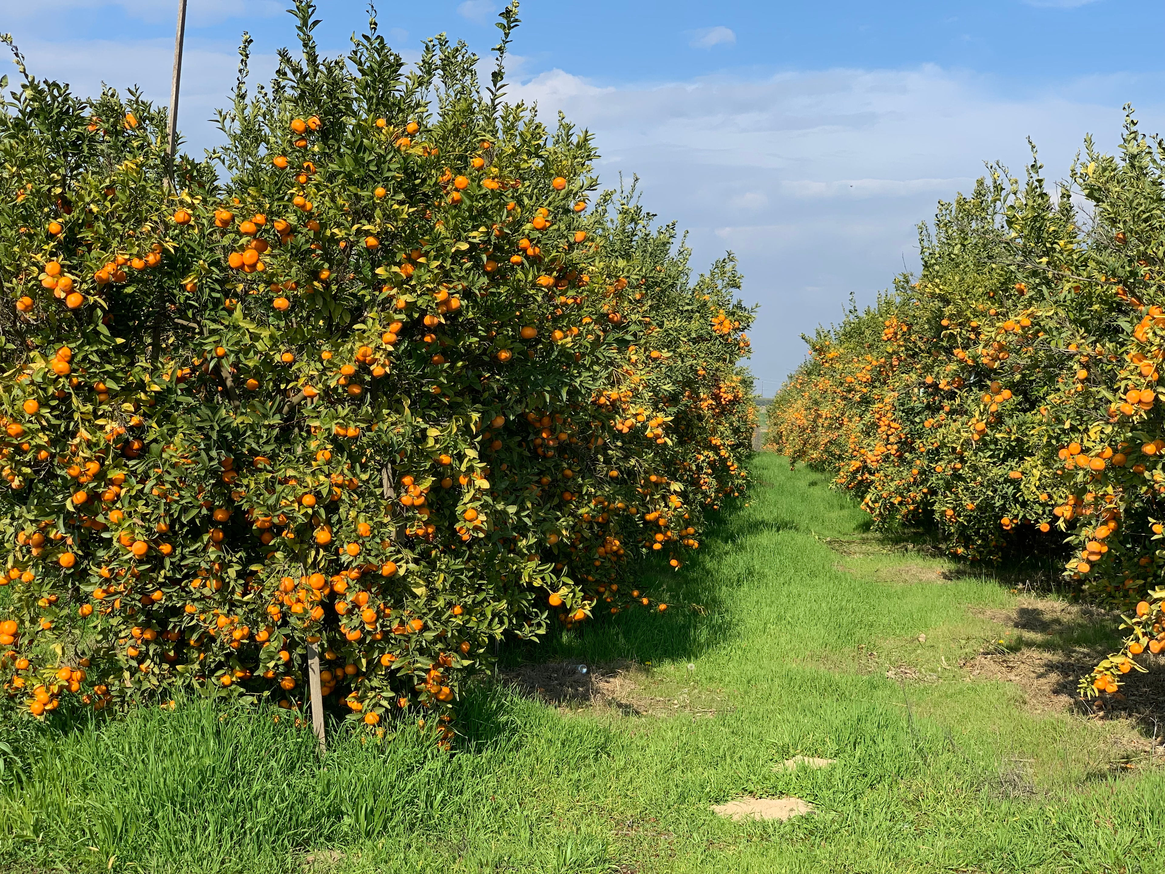 Organic Farm Boondock Camp