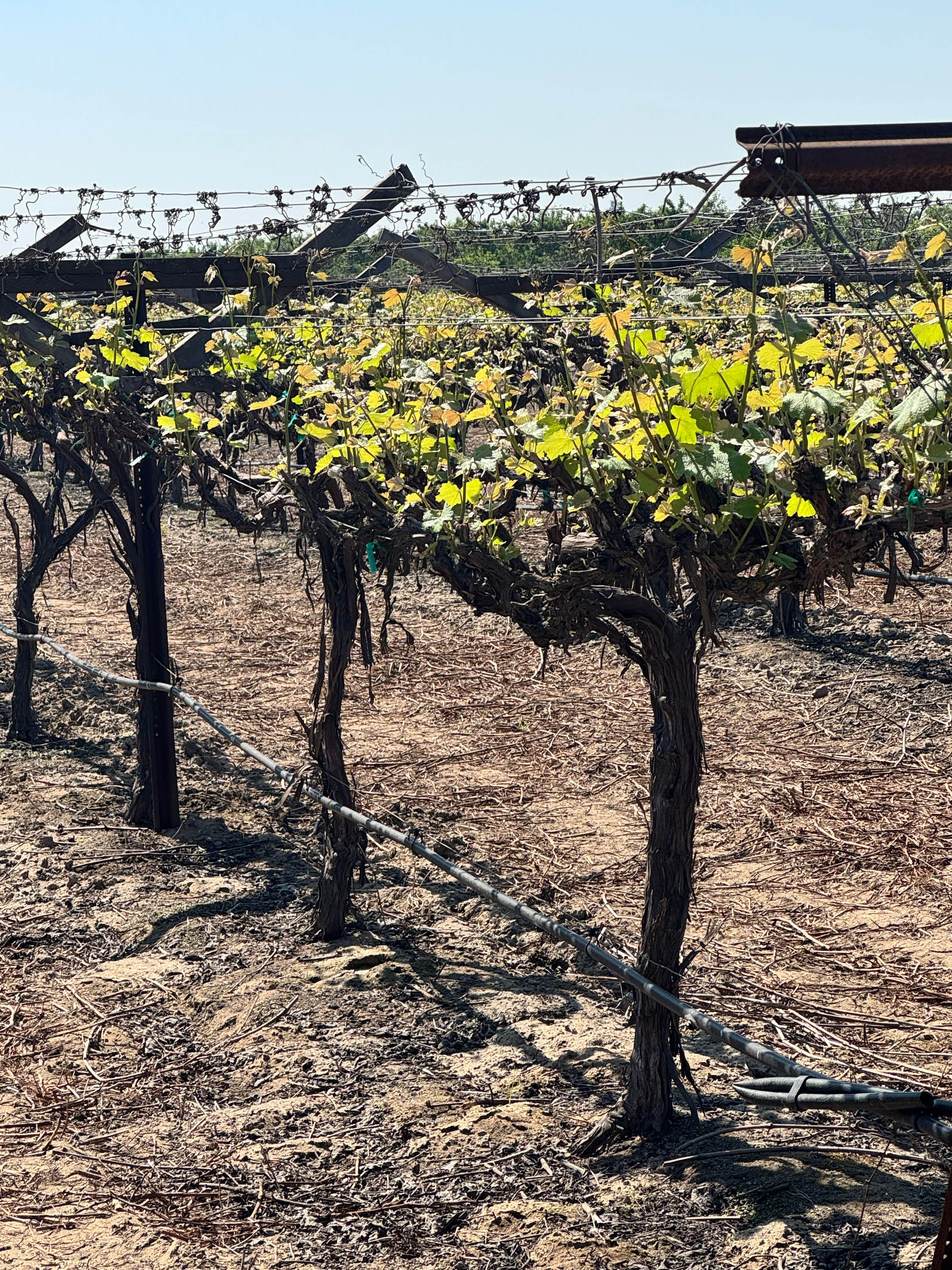 Organic Farm Boondock Camp