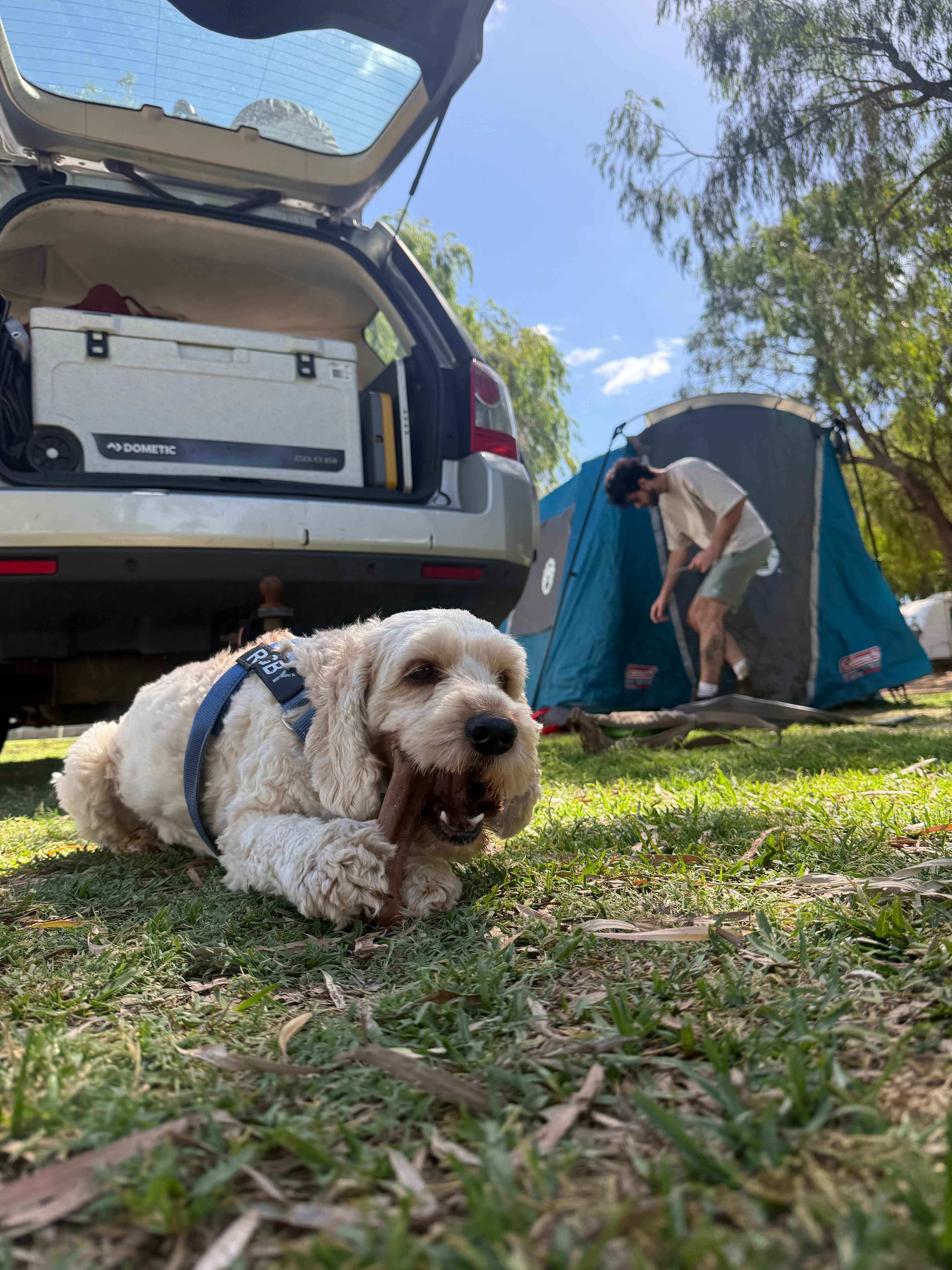 Busselton Lazy Days Caravan Park