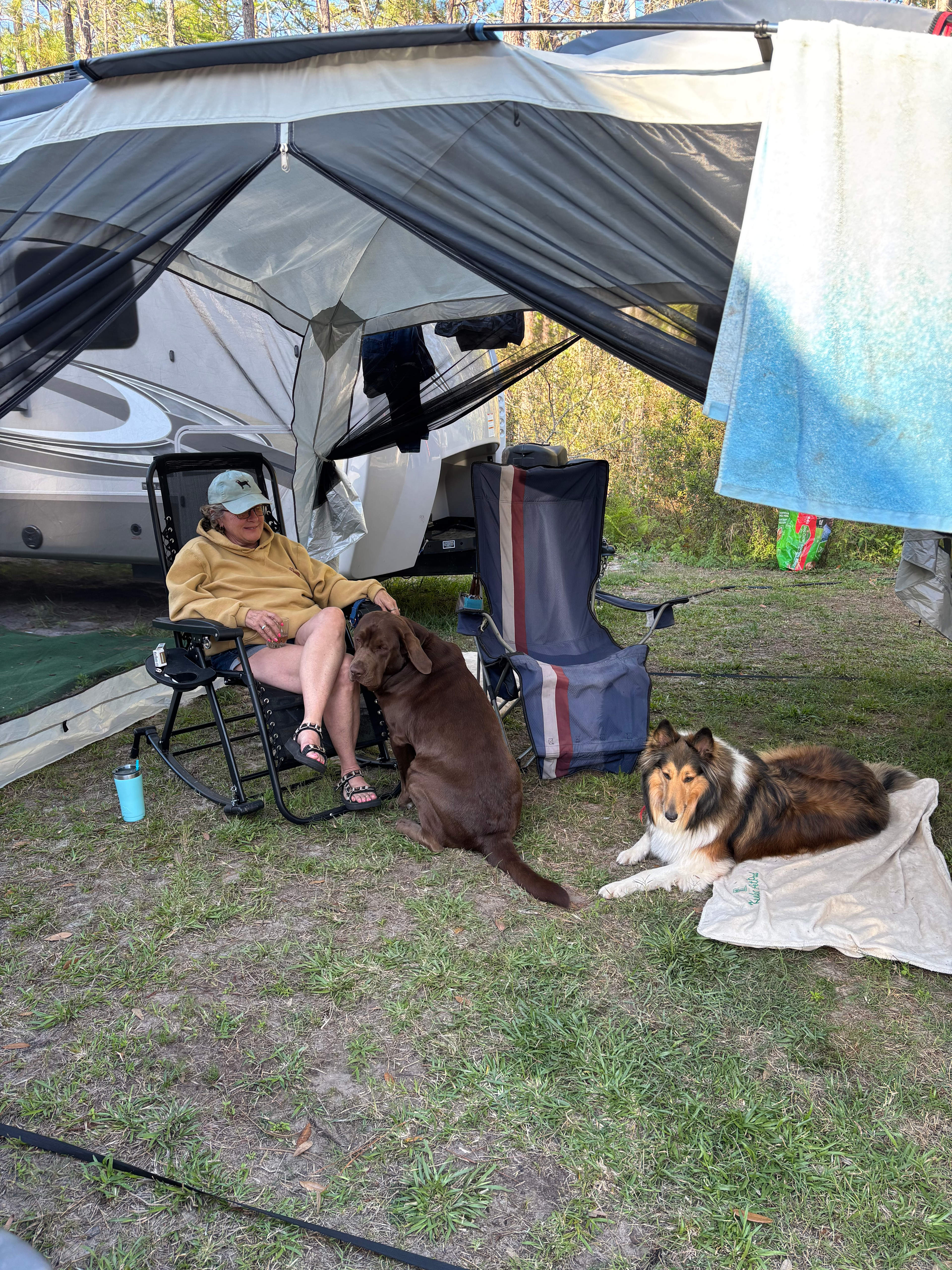 wonderful to have our pups with us-