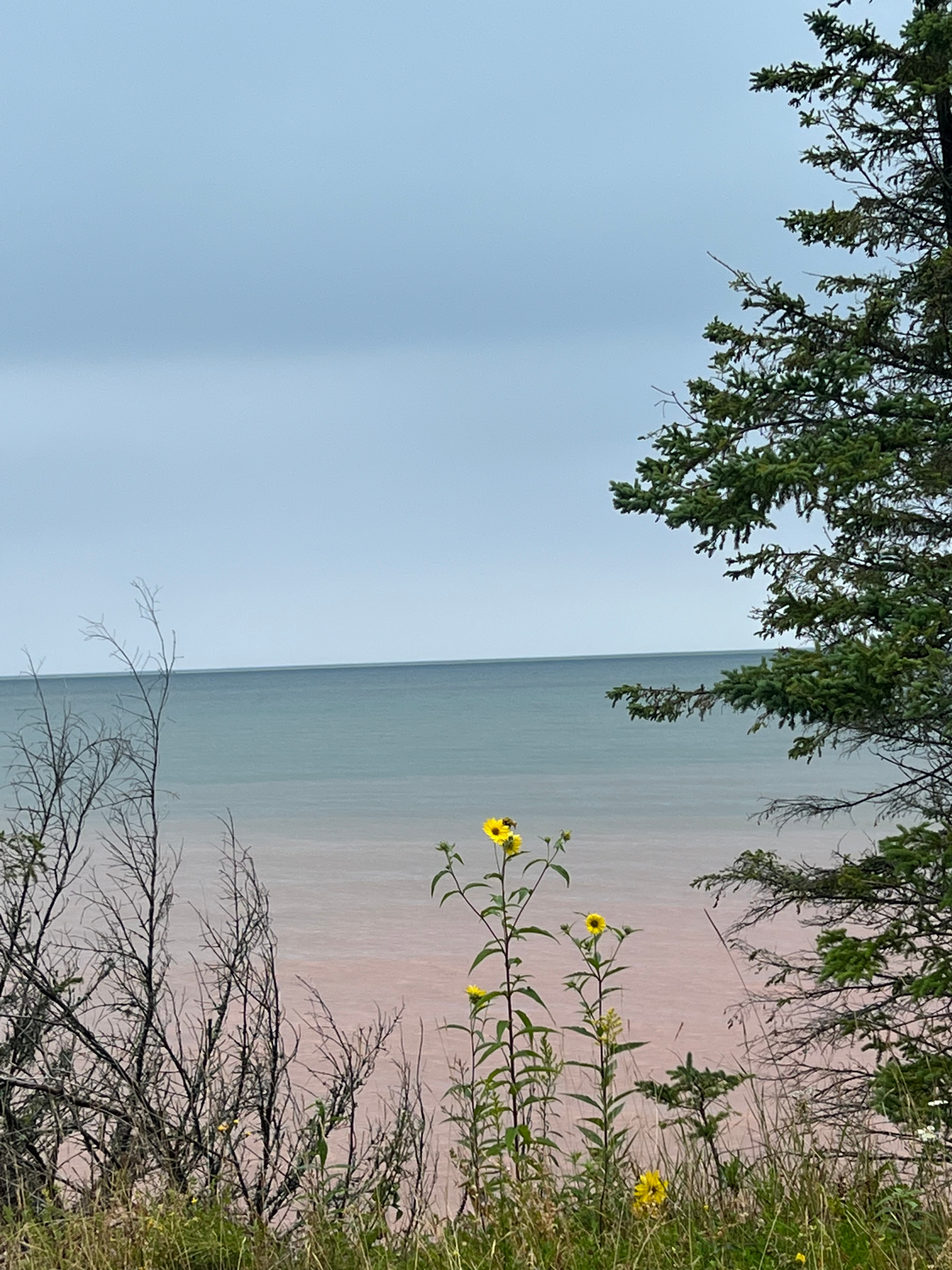 Lake Superior Beauty