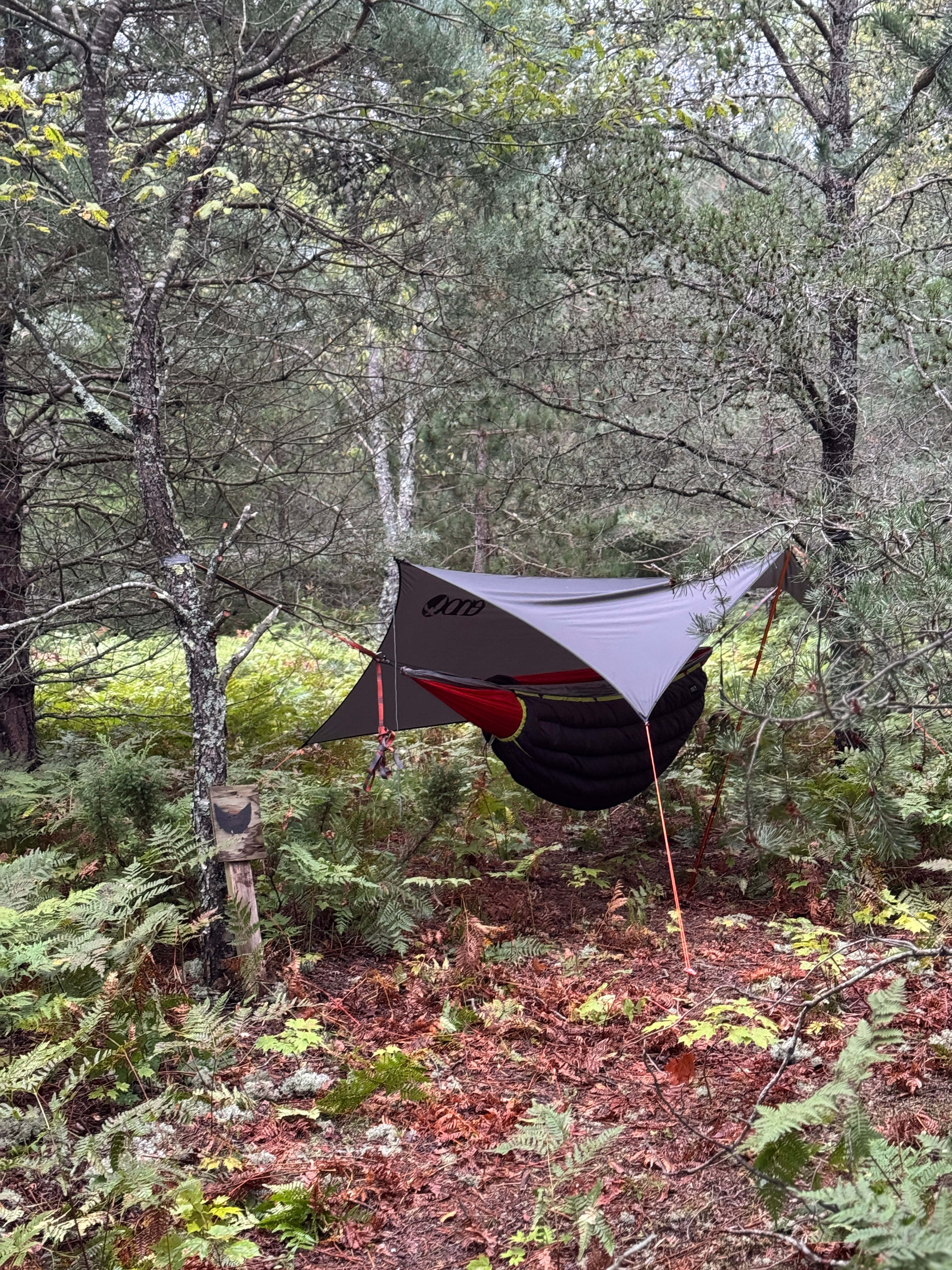 Private Rustic Pines- Dog friendly