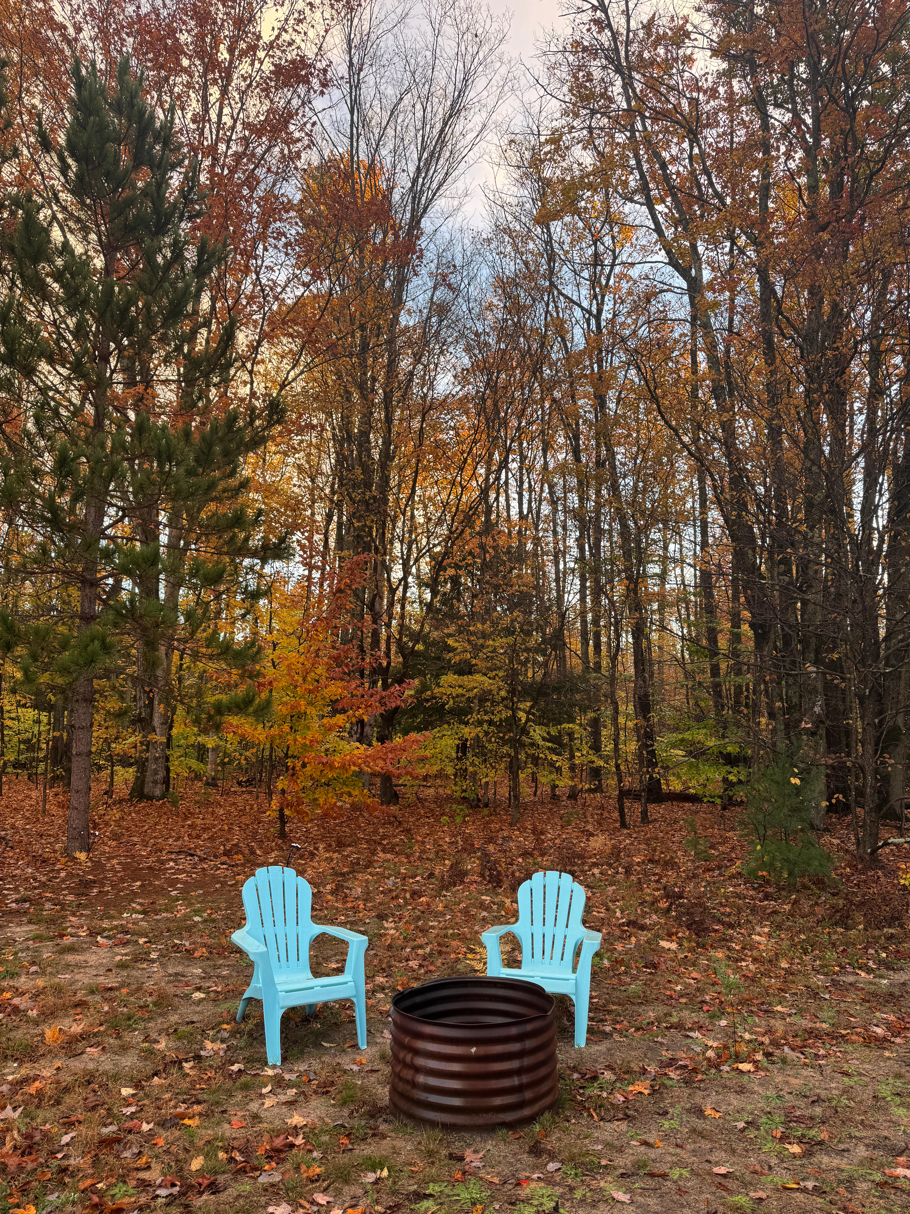 Private Rustic Pines- Dog friendly