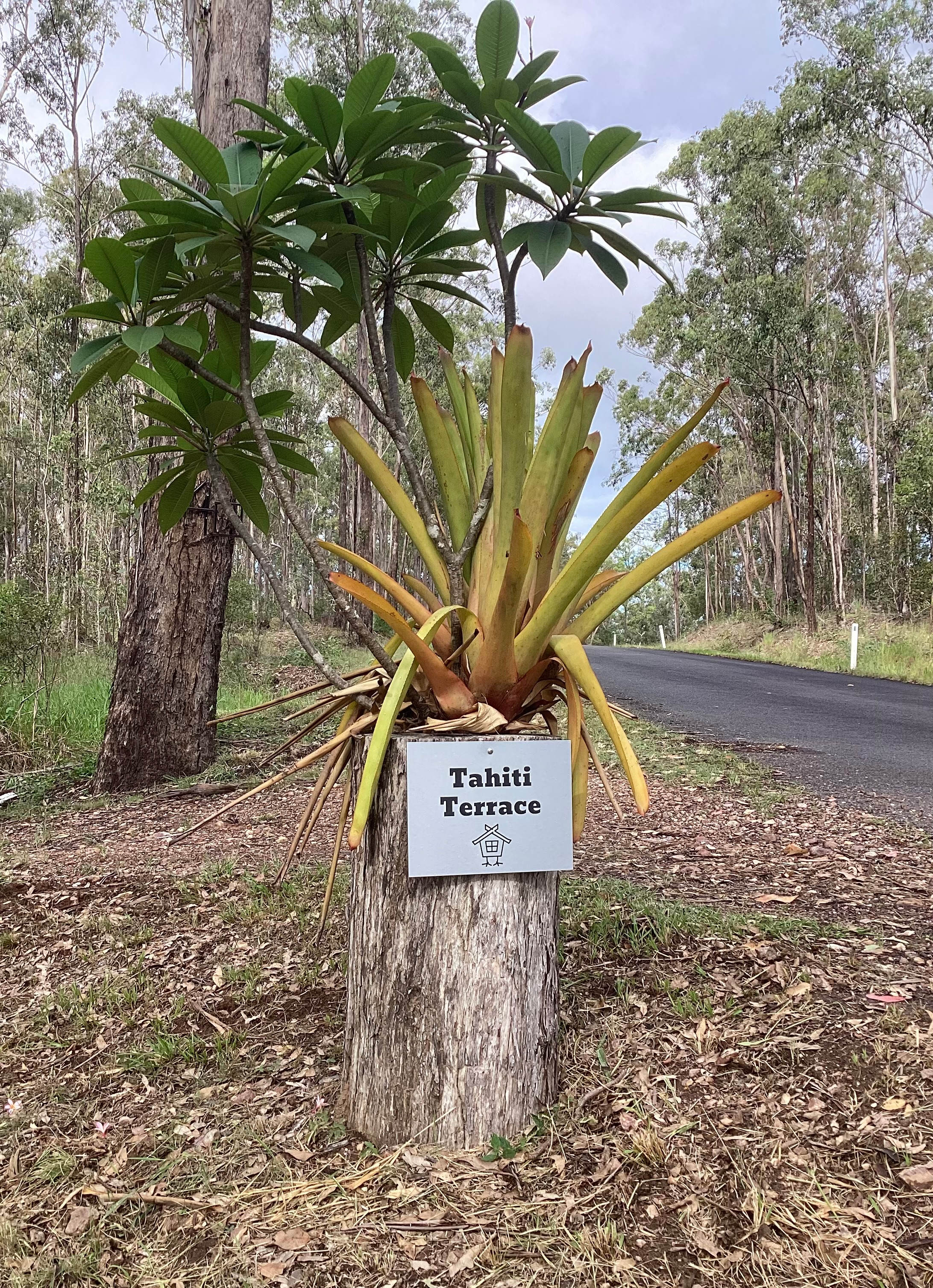 Tahiti Terrace private bush Retreat