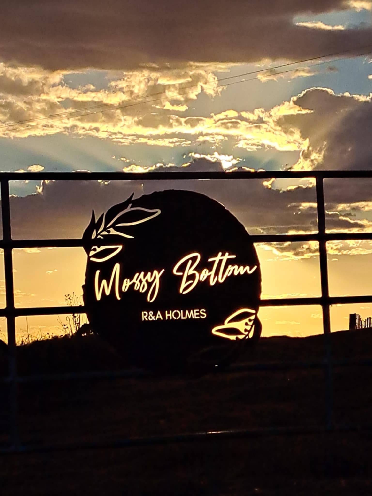 Mossy Bottom Farm