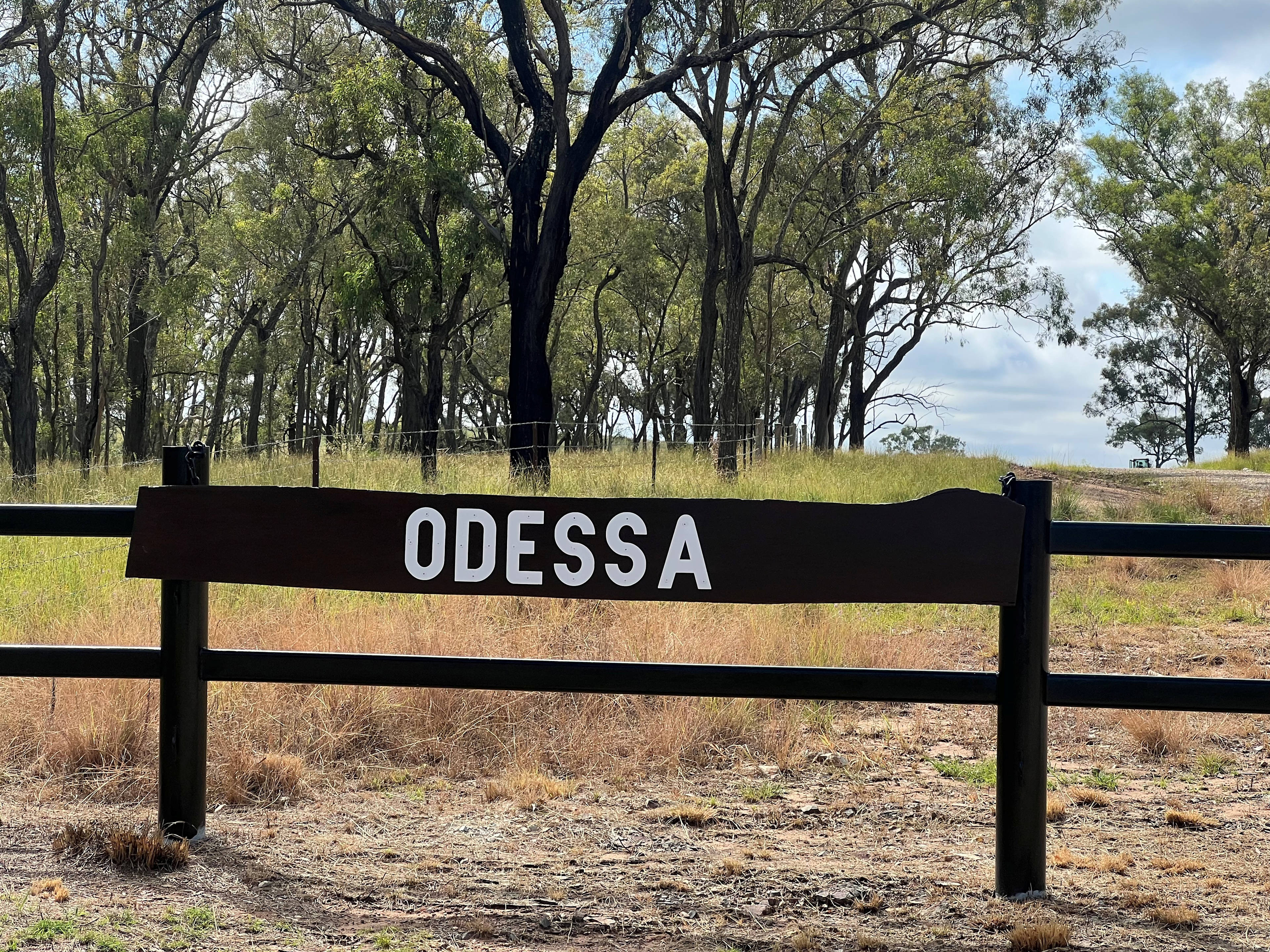 Odessa